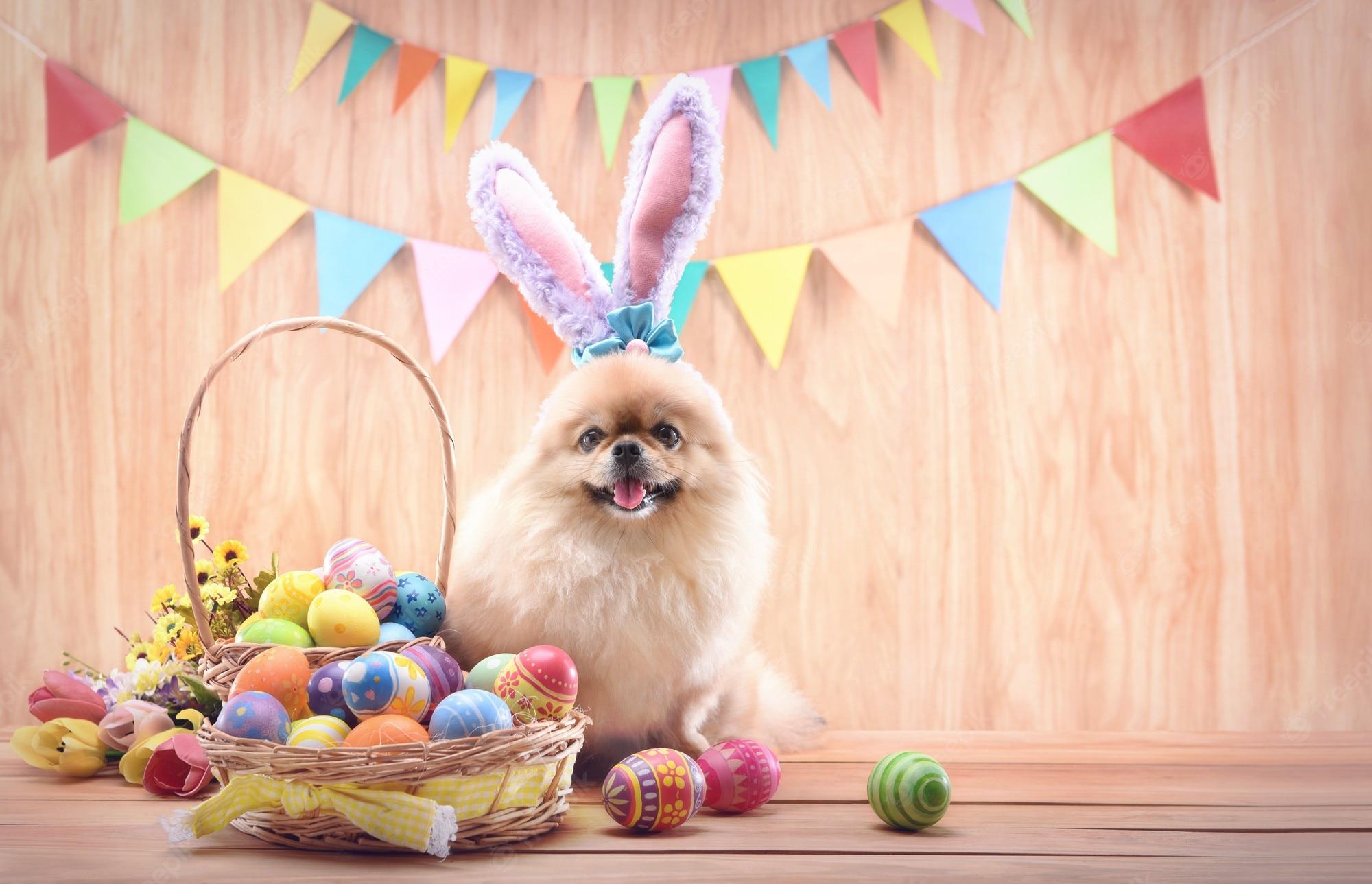 Cute Easter Dog Wallpapers Top Free Cute Easter Dog Backgrounds