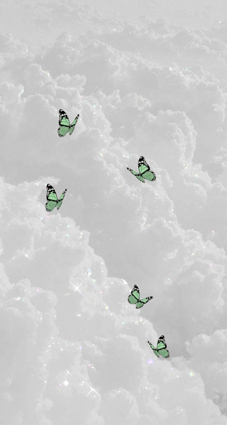736x1380 Aesthetic Wallpaper. Mint green aesthetic, Butterfly wallpaper iphone, Mint green wall. Mint green wallpaper, Mint green wallpaper iphone, iPhone wallpaper green