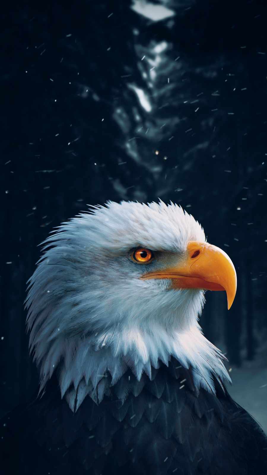 900x1600 Golden Eagle Predator IPhone Wallpaper Wallpaper : iPhone Wallpaper