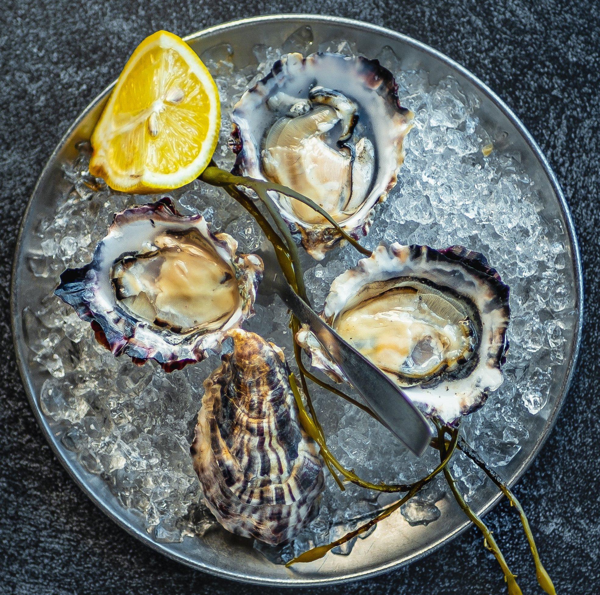 1969x1952 Henlopen City Oyster House