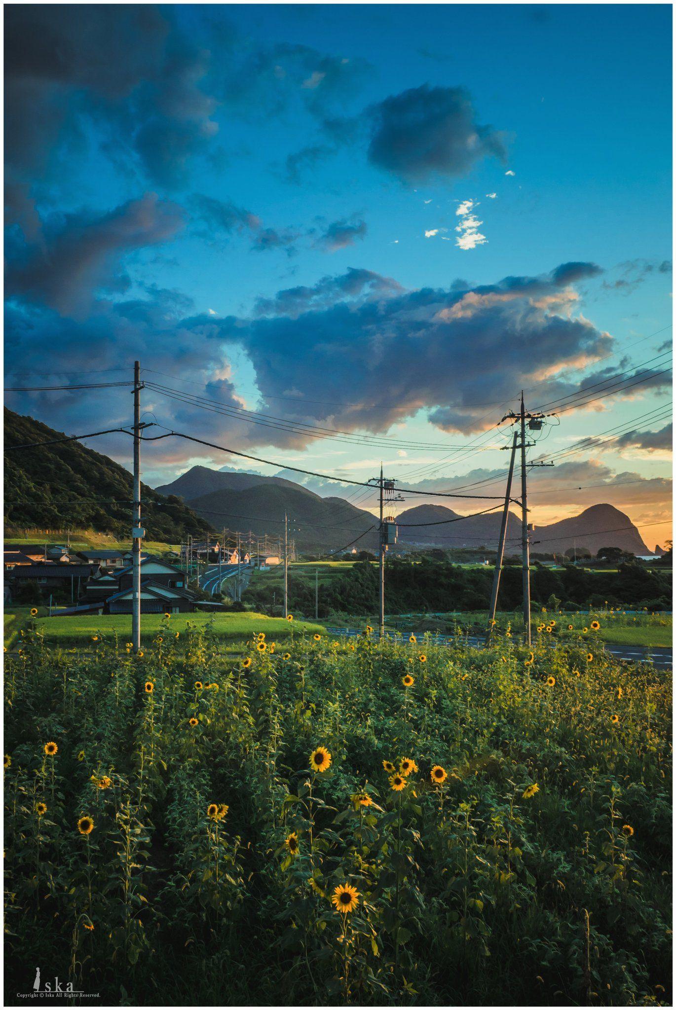1370x2048 Iska on Twitter. 夏 風景, 風景, 風景の絵