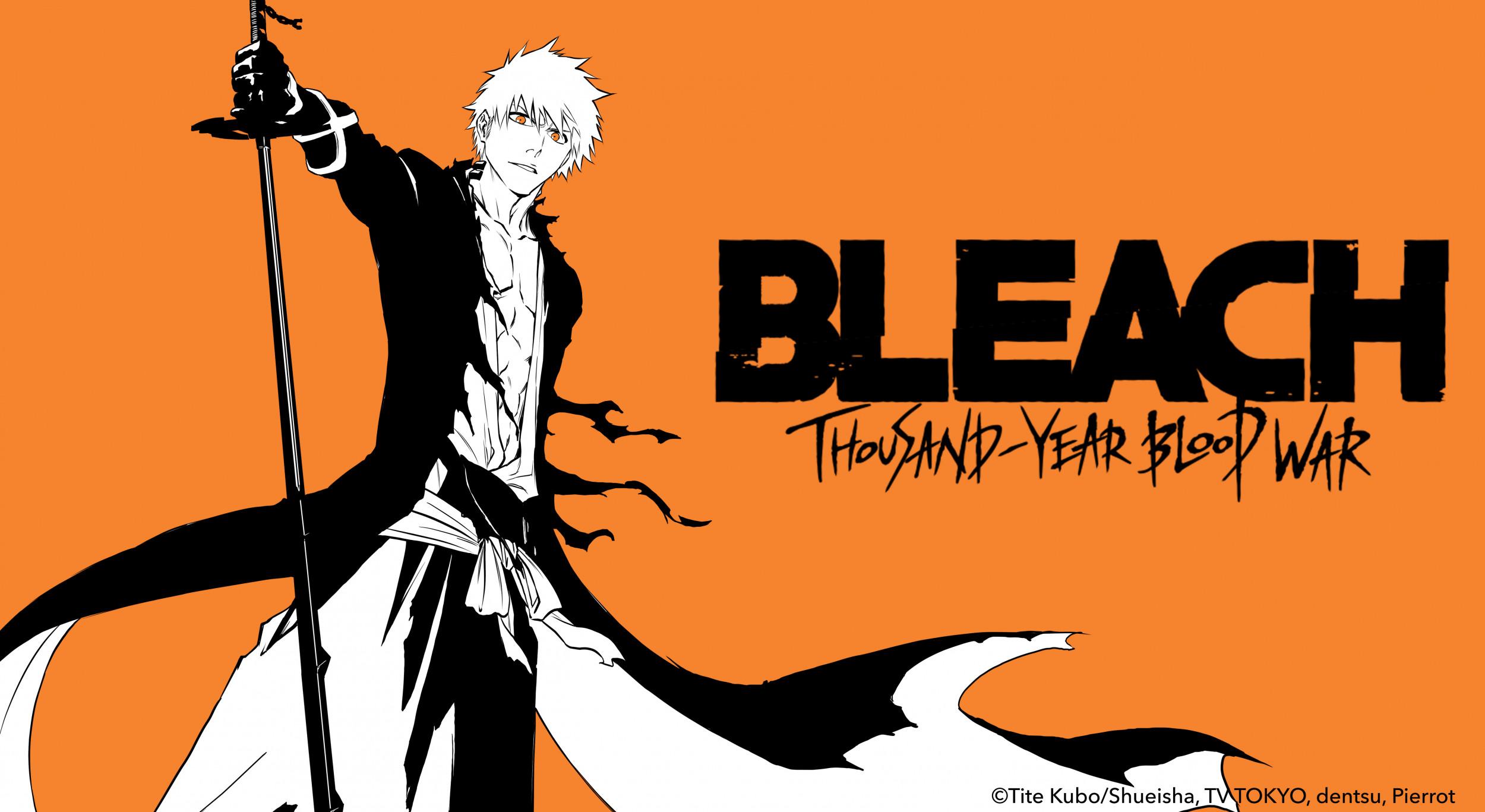 Bleach Thousand Year Blood War Anime Wallpaper 4k HD ID:11093