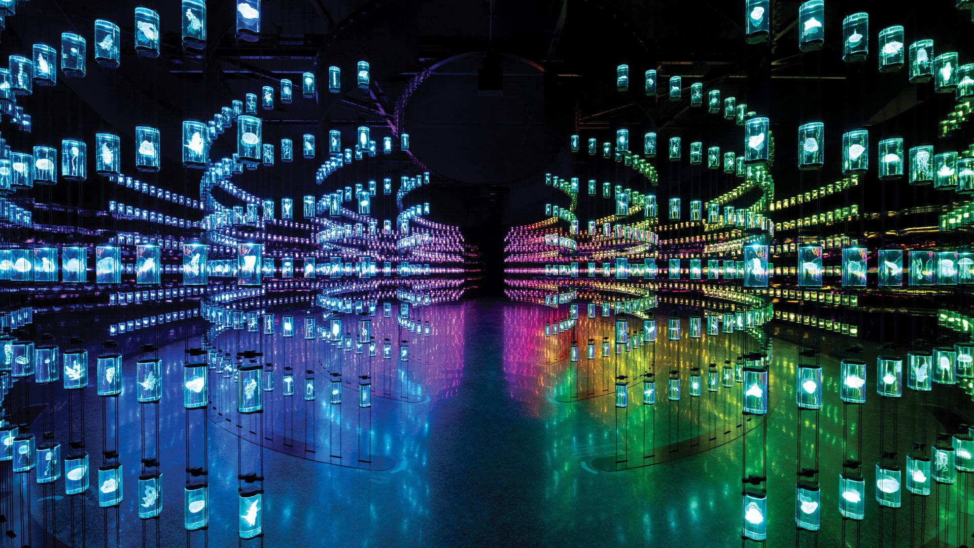1920x1080 Superflux debuts 'The Library' at Dubai's Museum of the Future