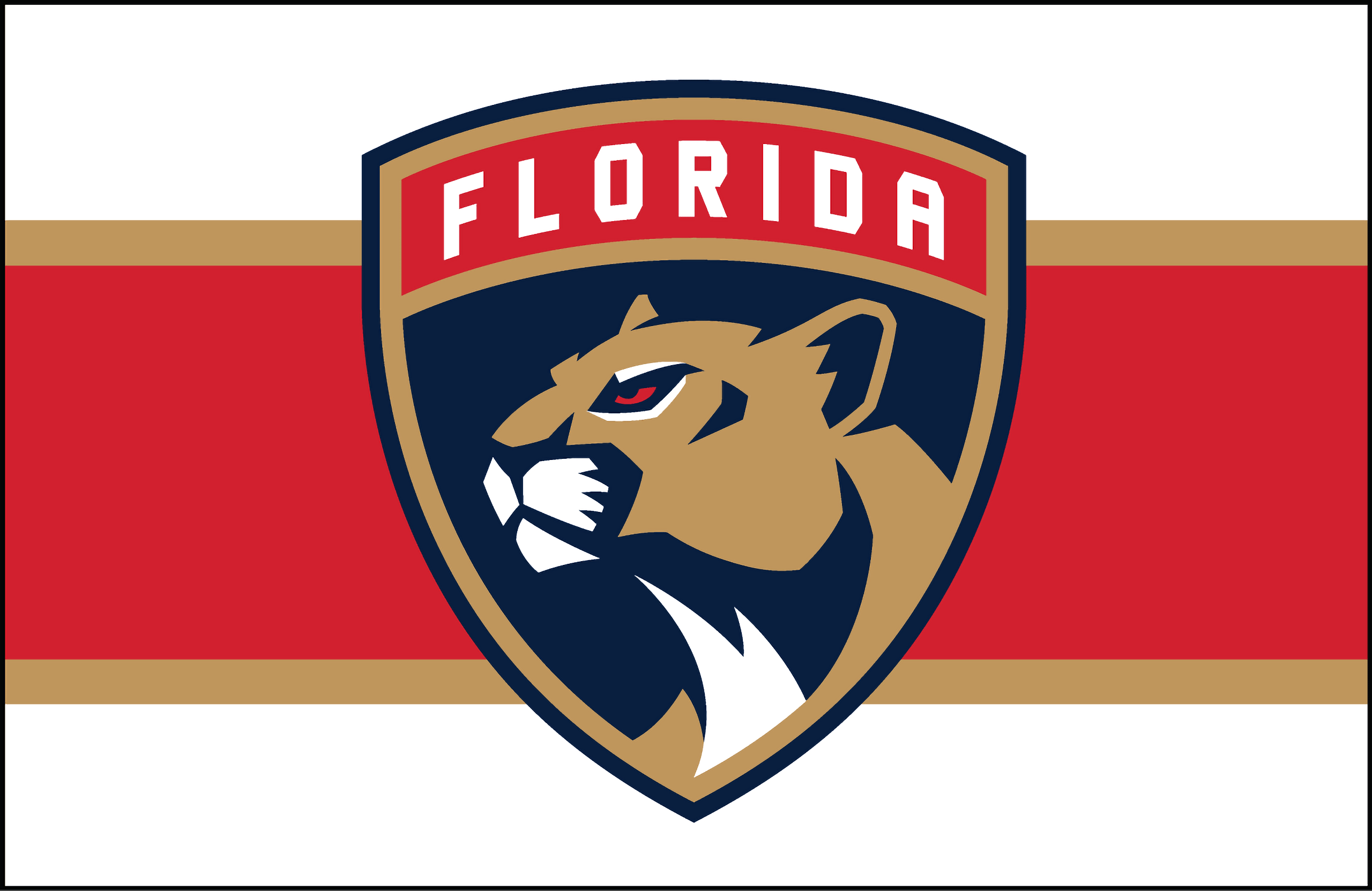 2560x1664 Florida Panthers HD Wallpaper