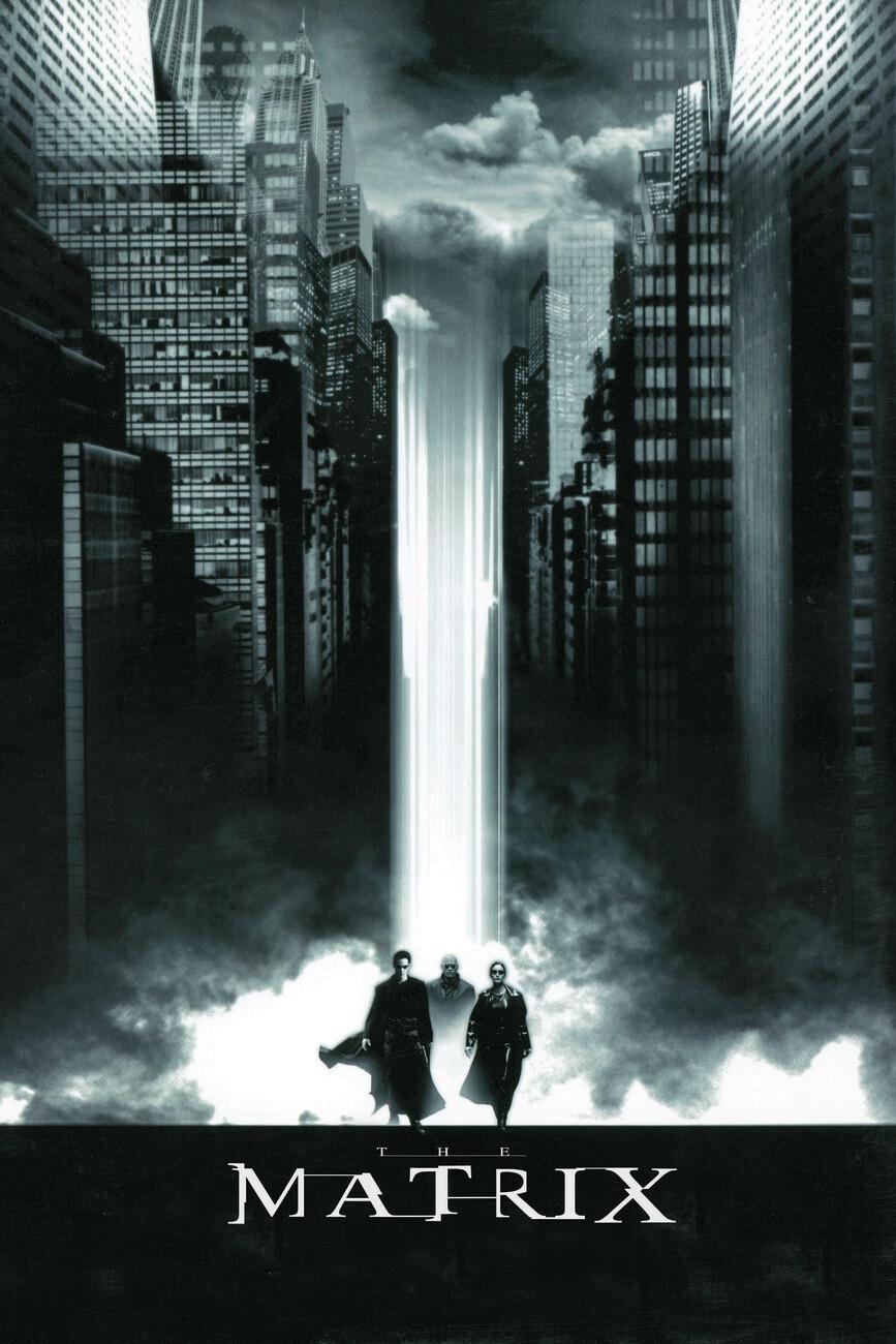 867x1300 Matrix Wall Mural
