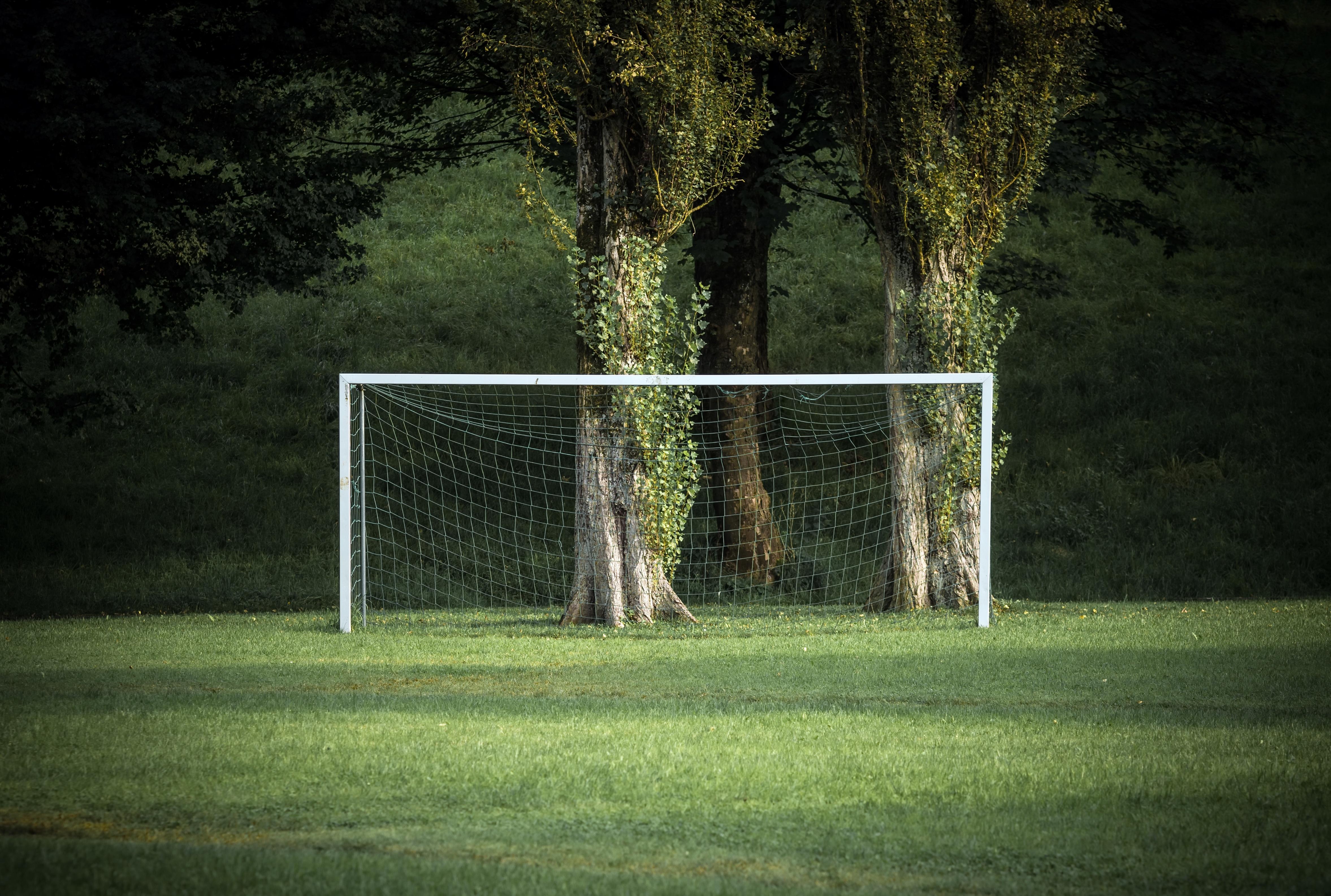 4709x3173 grass, Green, Trees, Sport, Soccer Field Wallpaper HD / Desktop and Mobile Background