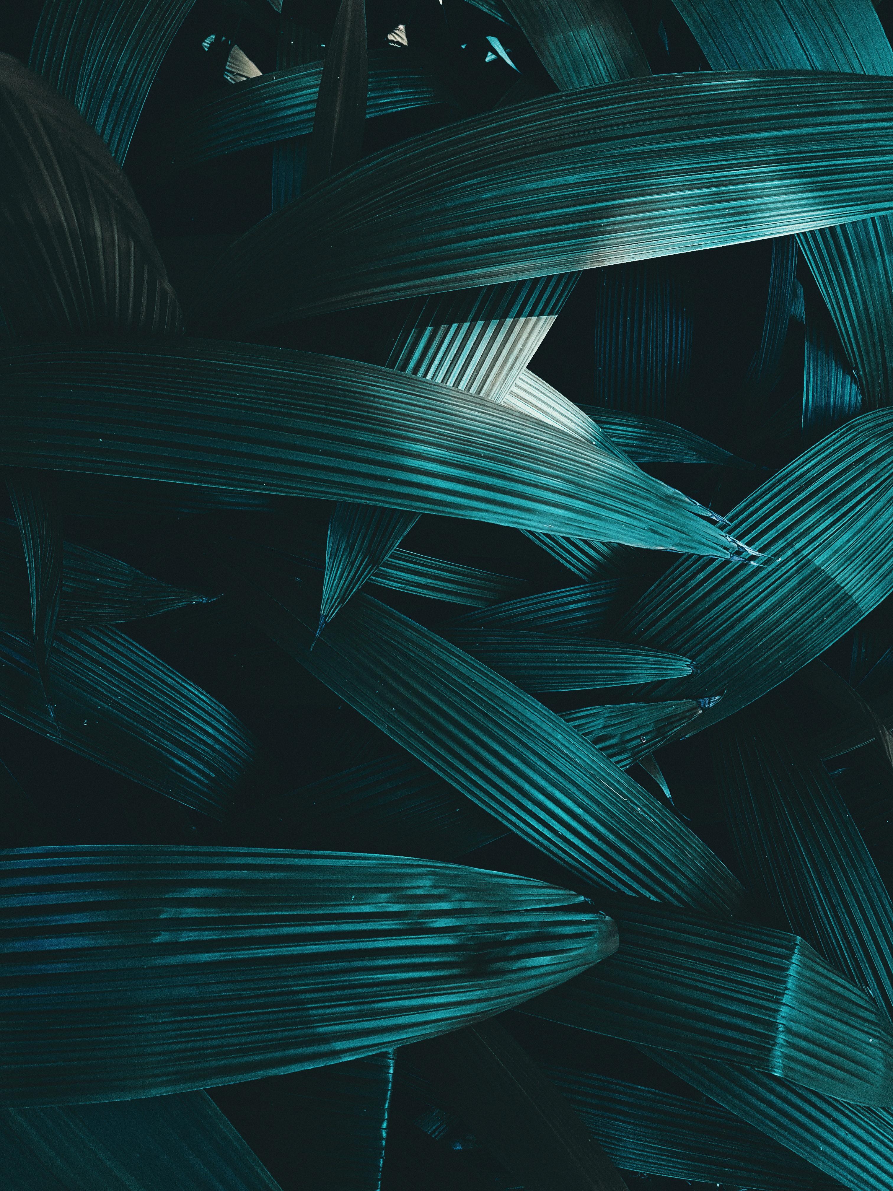 3024x4032 Dark Green Photo, Download The BEST Free Dark Green & HD Image