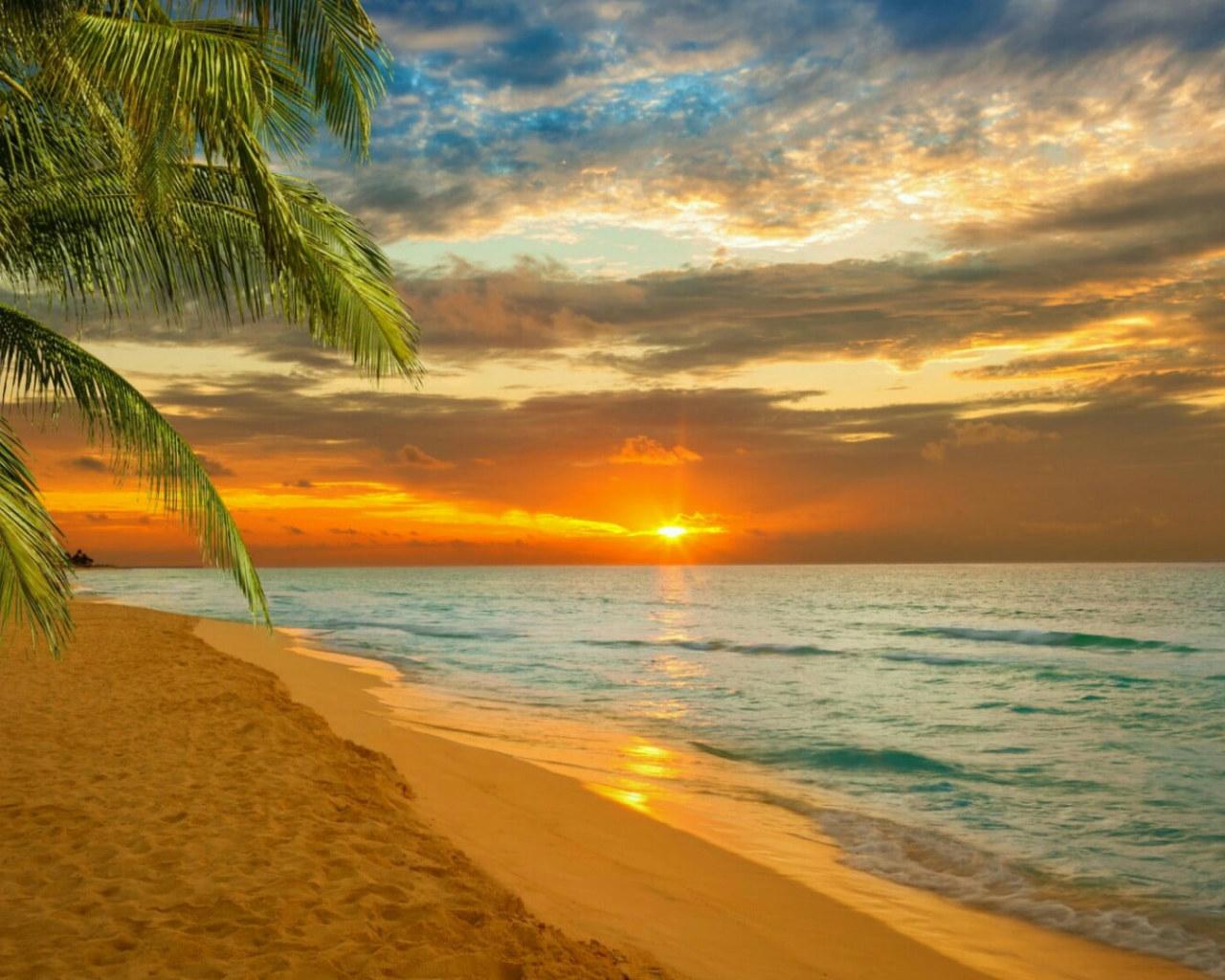 1280x1024 Sunset, Sea, Summer, Palm, Sky, Tropics, Caribbean, Paradise Wallpaper • Wallpaper For You