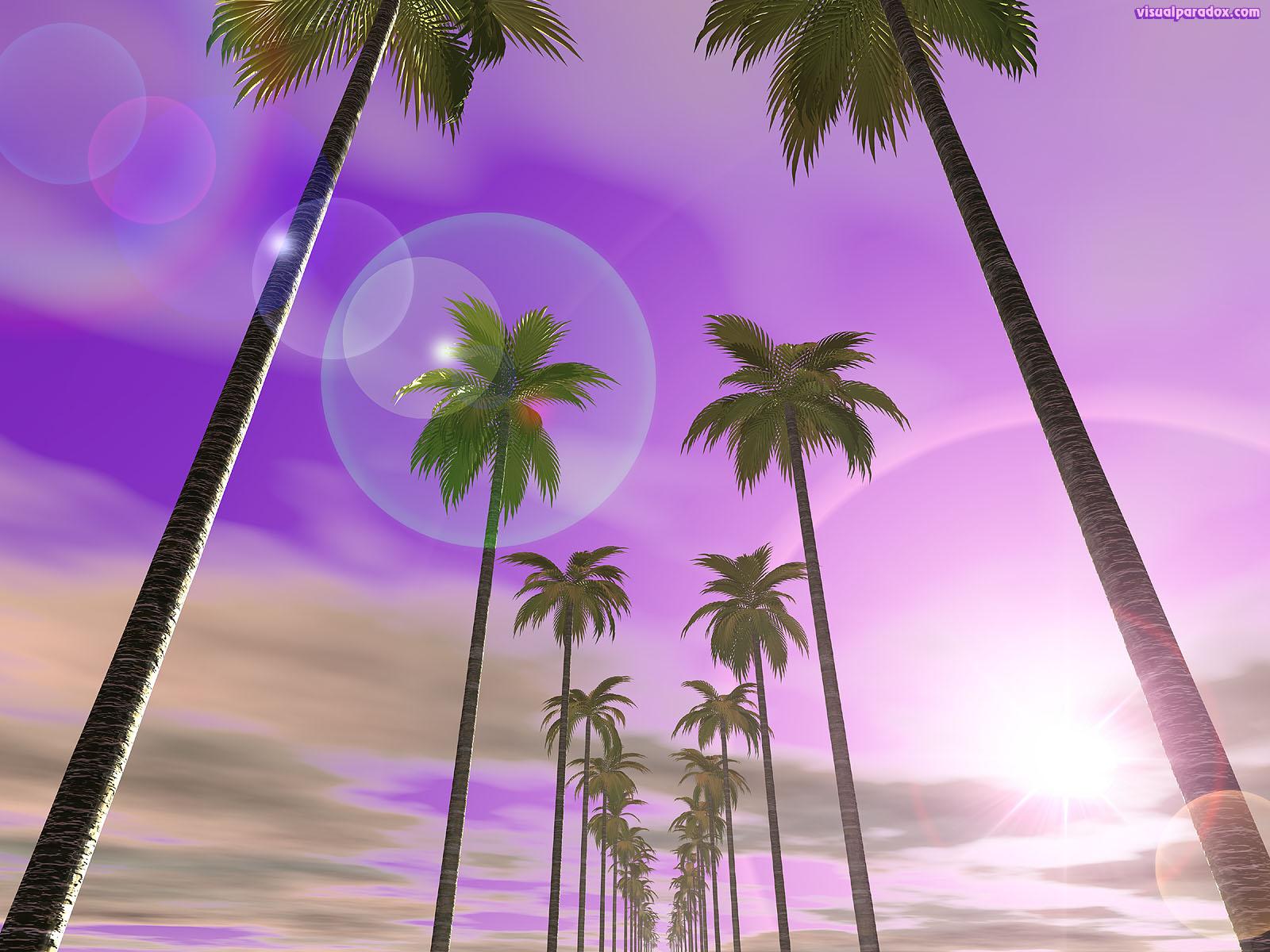 1600x1200 Free 3D Wallpaper 'Palm Row' 1600x1200