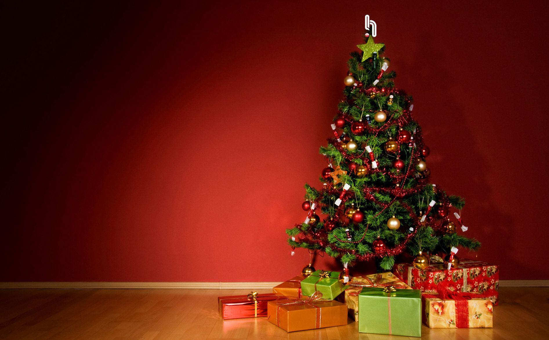 1893x1173 Hyponik's 2015 Christmas Stocking Fillers