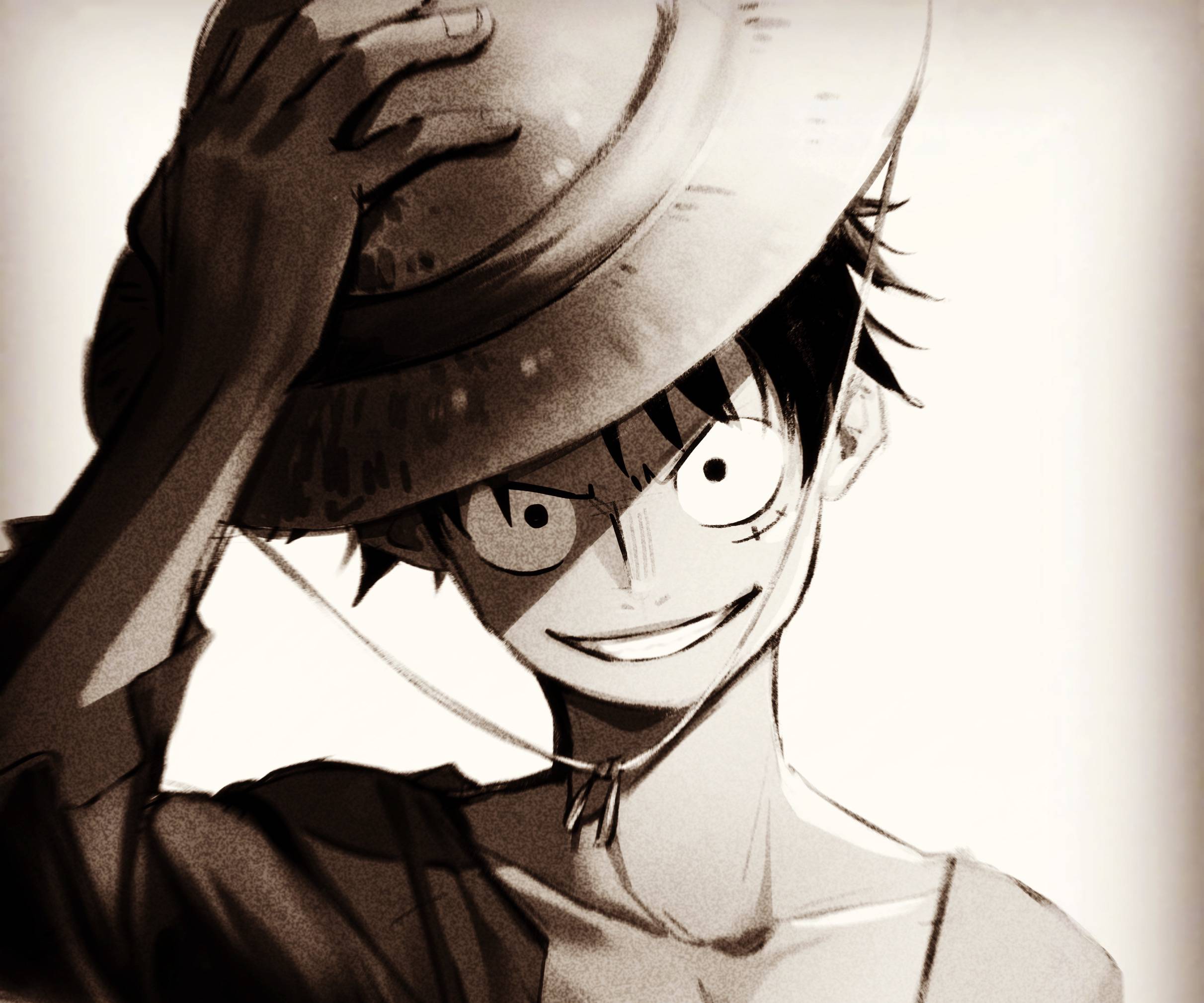 2423x2019 One Piece HD Monkey D. Luffy Wallpaper