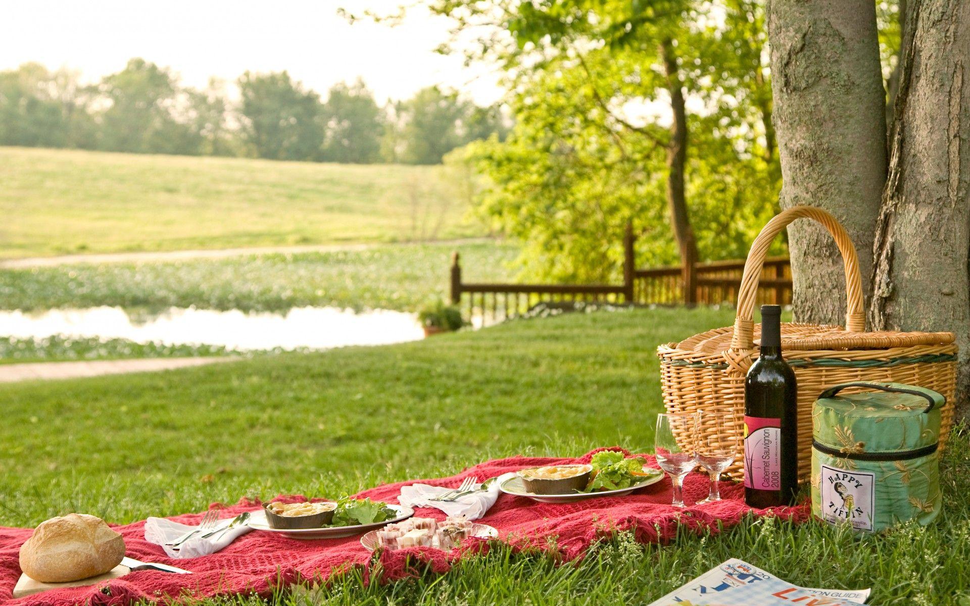 1920x1200 Download Wallpaper 1920x1200 Concept picnic, Cool picnic food, Cool