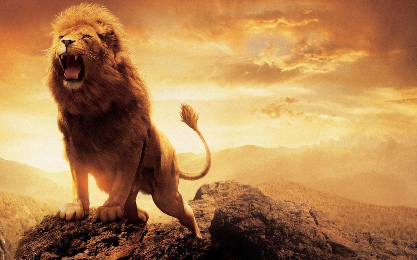 1440x900 Adult Lion Wallpaper, Artwork, Sky, Animals, Animal Themes, Mammal, One Animal • Wallpaper For You