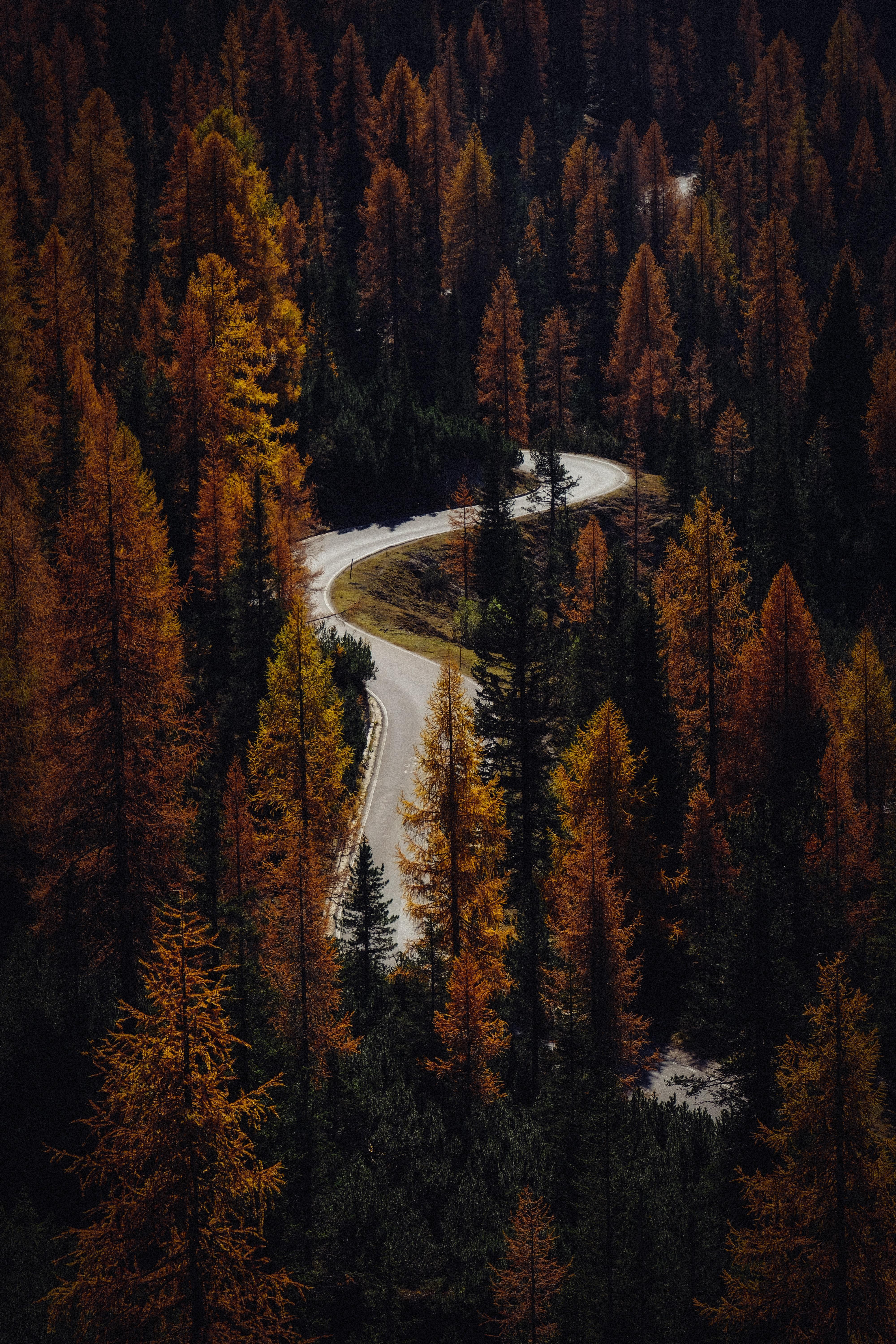 4000x6000 Autumn Aerial Wallpaper