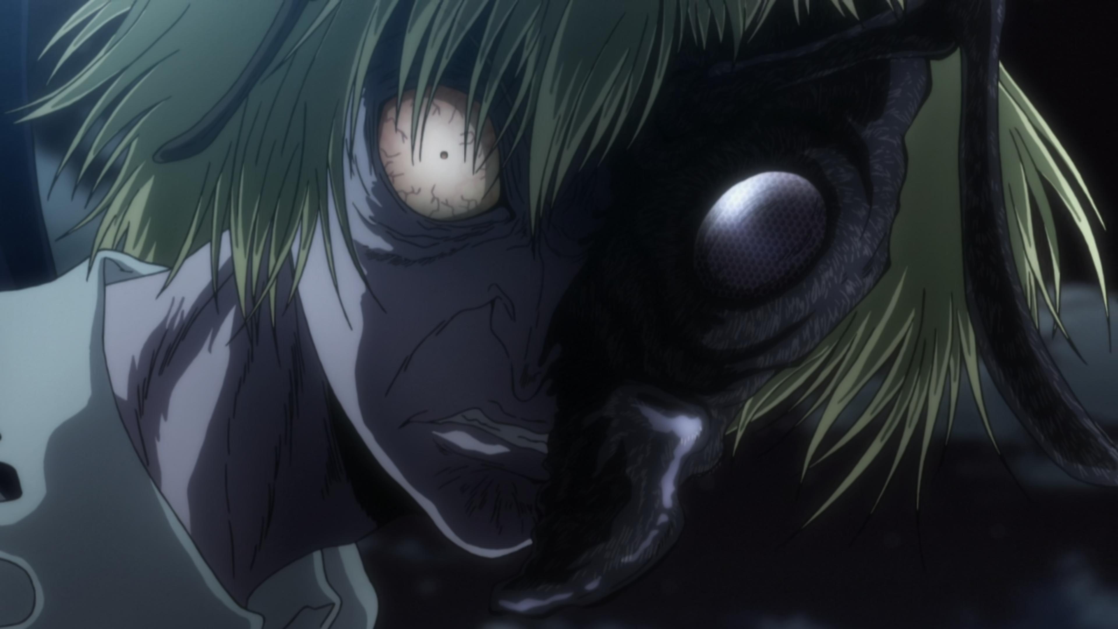 Shaiapouf Wallpapers Top Free Shaiapouf Backgrounds WallpaperAccess