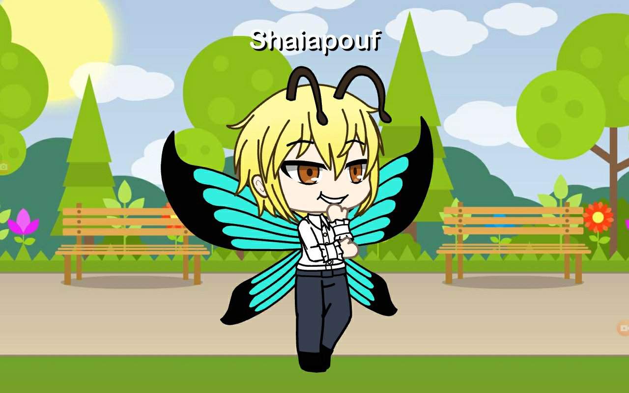 1280x800 Hunter X Hunter Shaiapouf. Gacha Life Amino