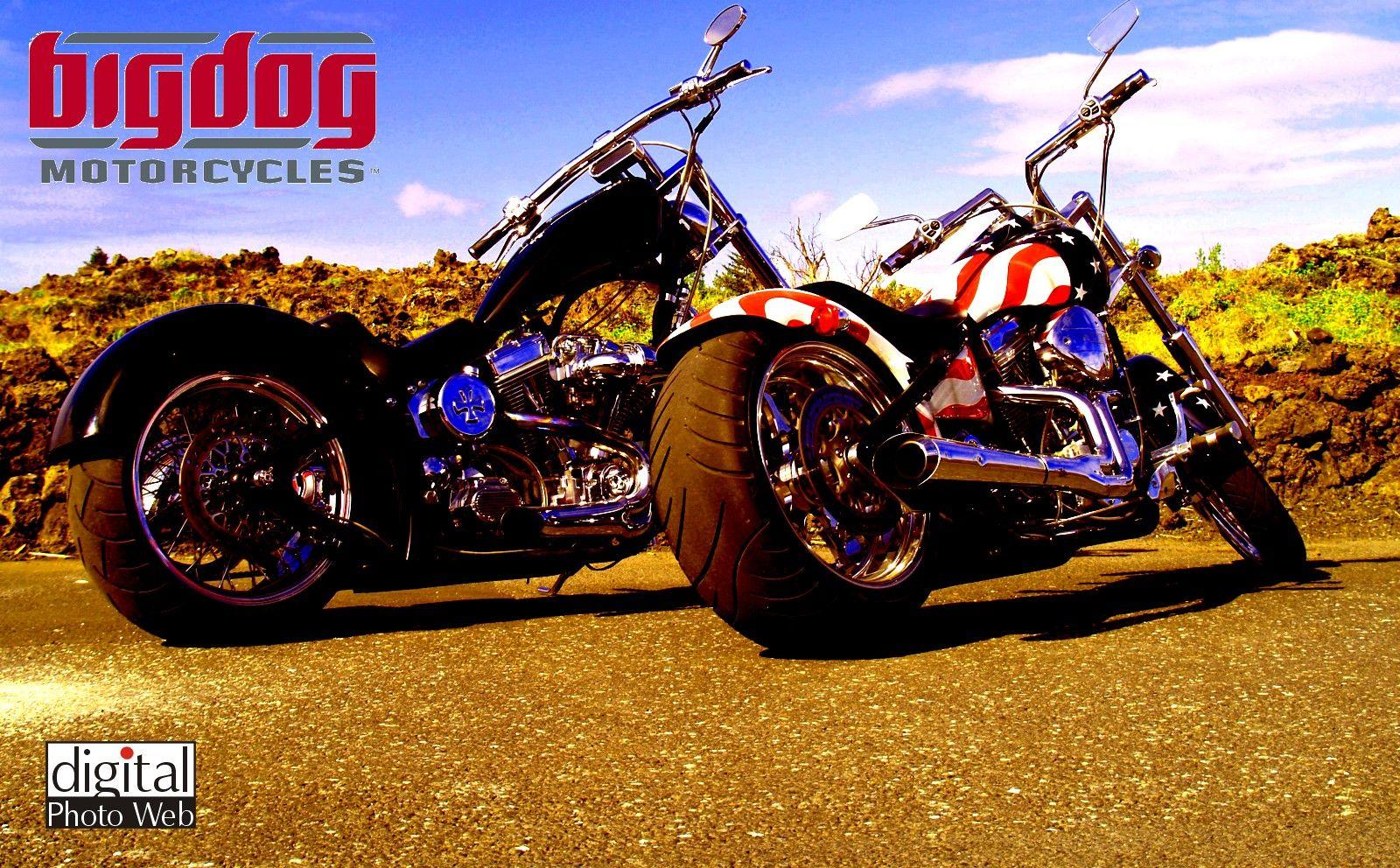 1600x992 dog Motorcycles Wallpaper