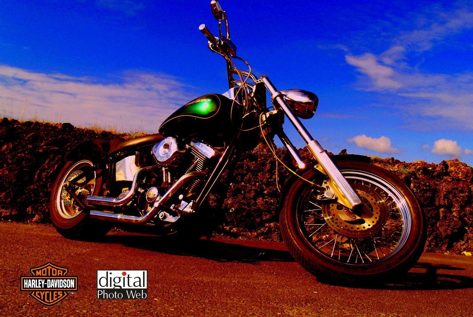 1600x1073 Wallpaper Of Harley Davidson