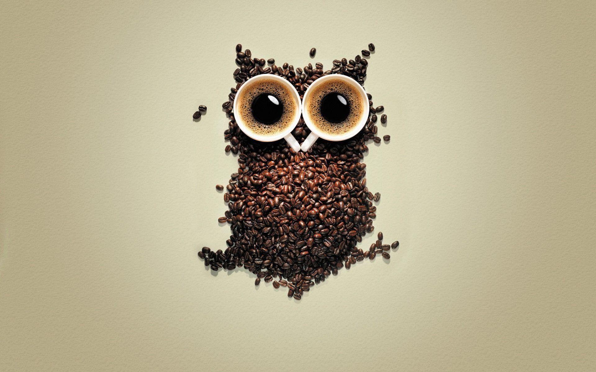 1920x1200 Cute Christmas Owl Wallpaper