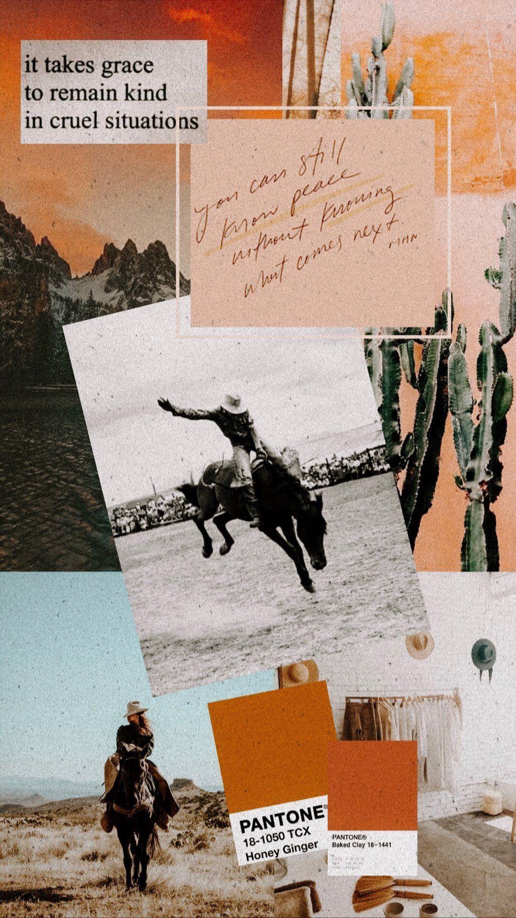 Tame is Lame Western aesthetic Western graphy Country background Western  Asthetic HD phone wallpaper  Peakpx