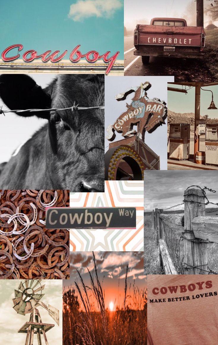 735x1164 western background
