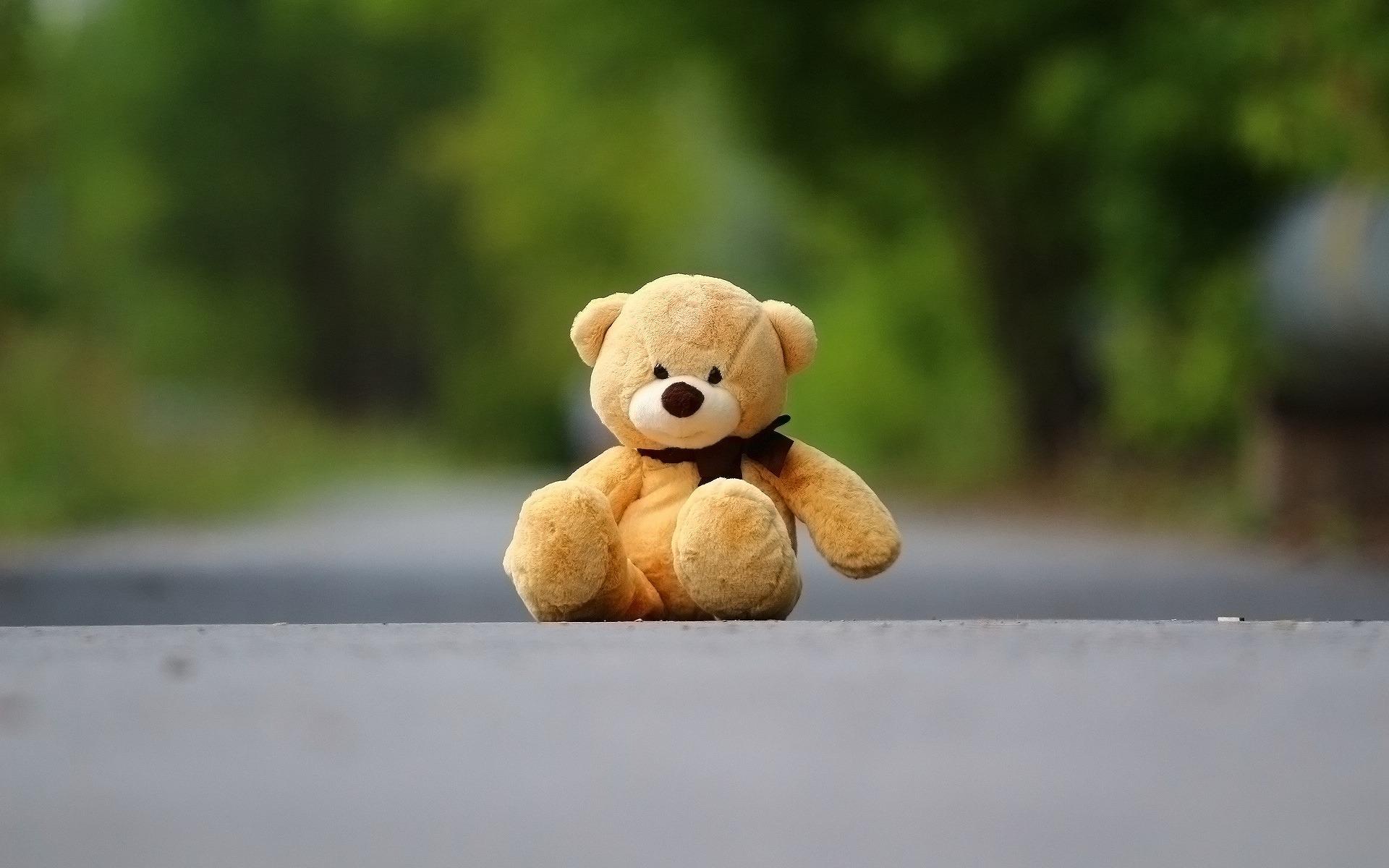 1920x1200 Teddy bear road cute toys orange bear wallpaperx1200