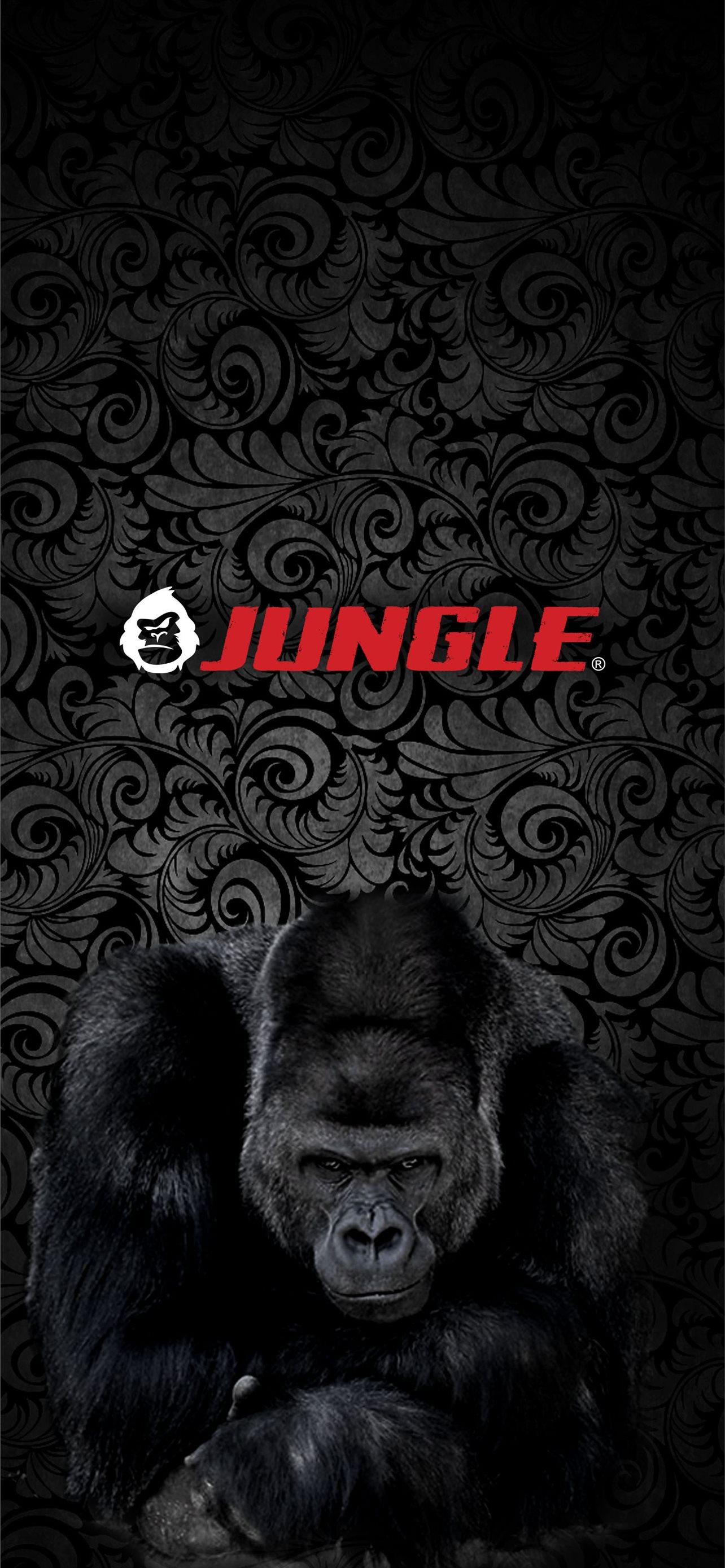 1284x2778 gorilla iPhone Wallpaper Free Download