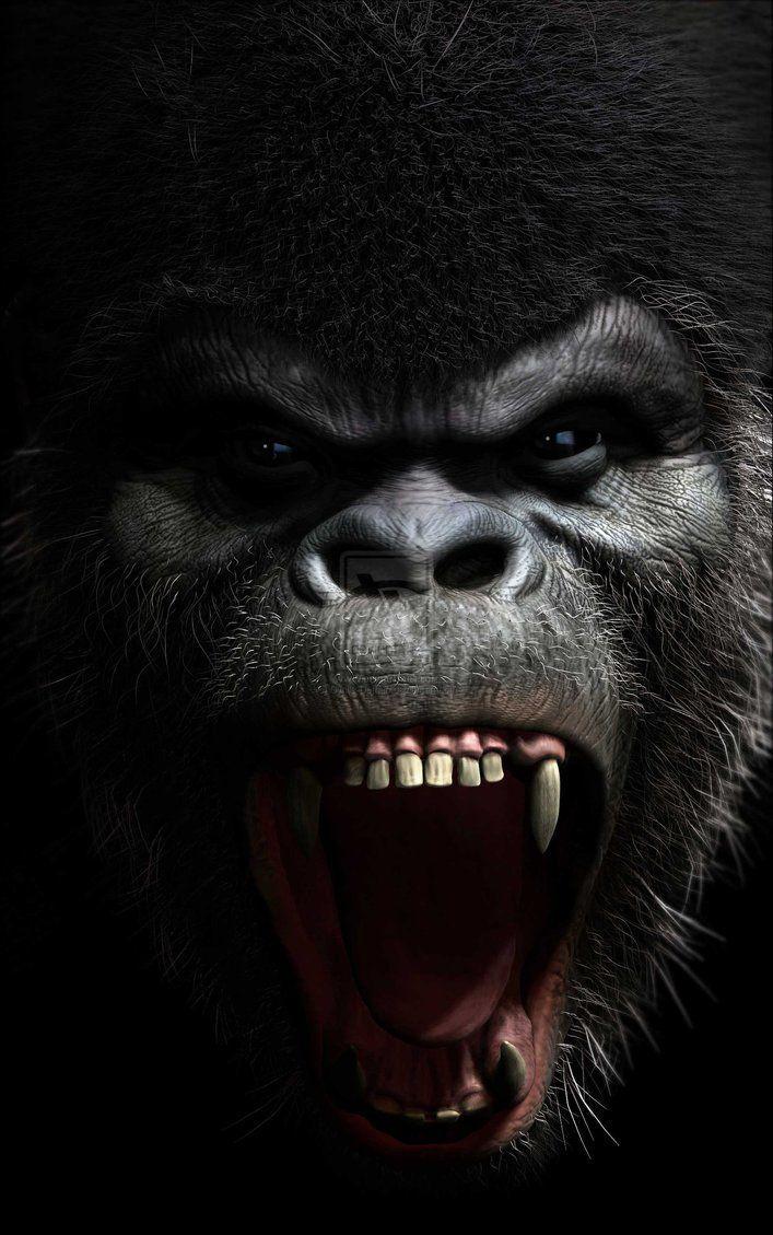 Gorrilla Wallpapers - Top Free Gorrilla Backgrounds - WallpaperAccess