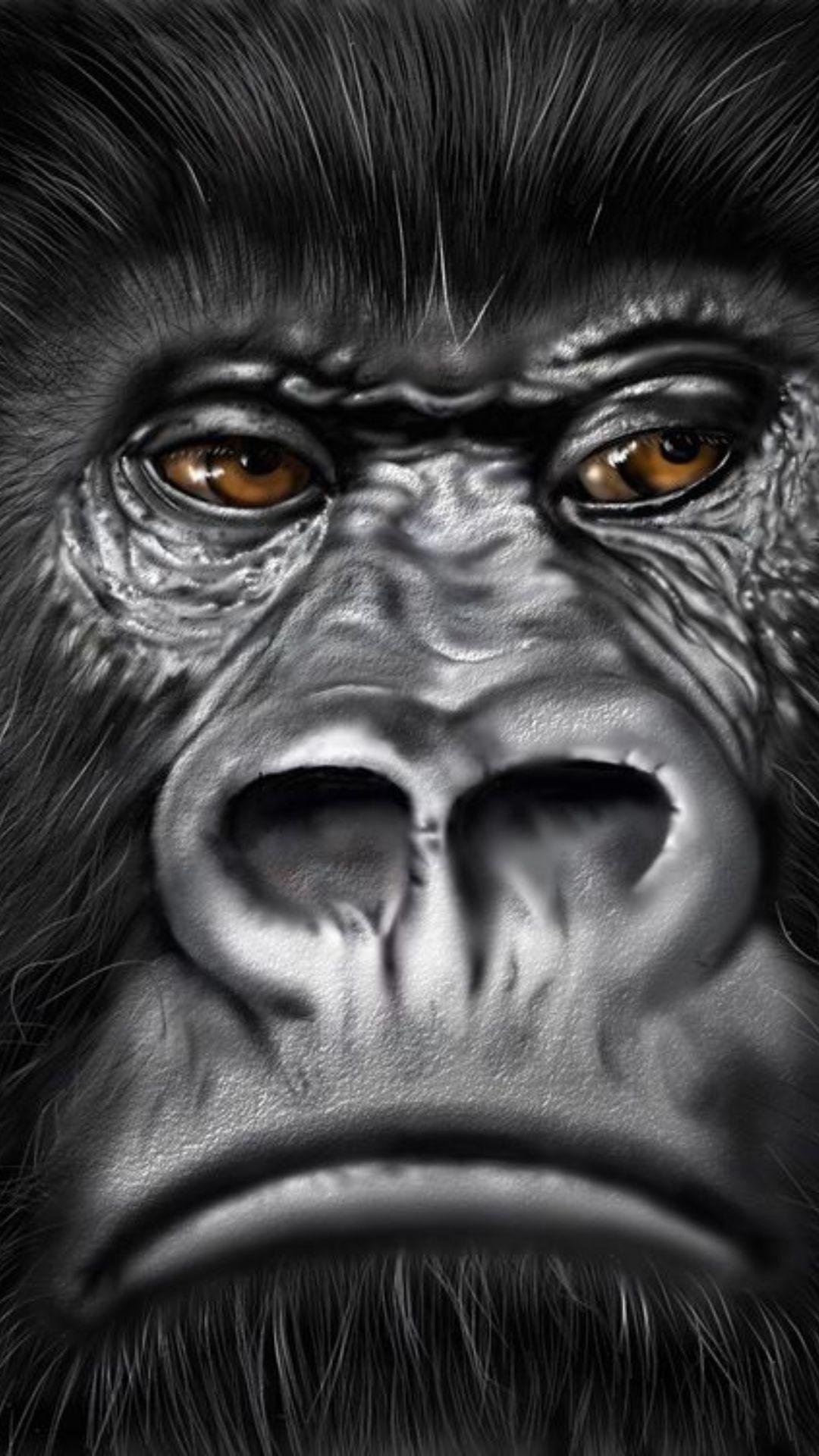 Gorrilla Wallpapers - Top Free Gorrilla Backgrounds - WallpaperAccess