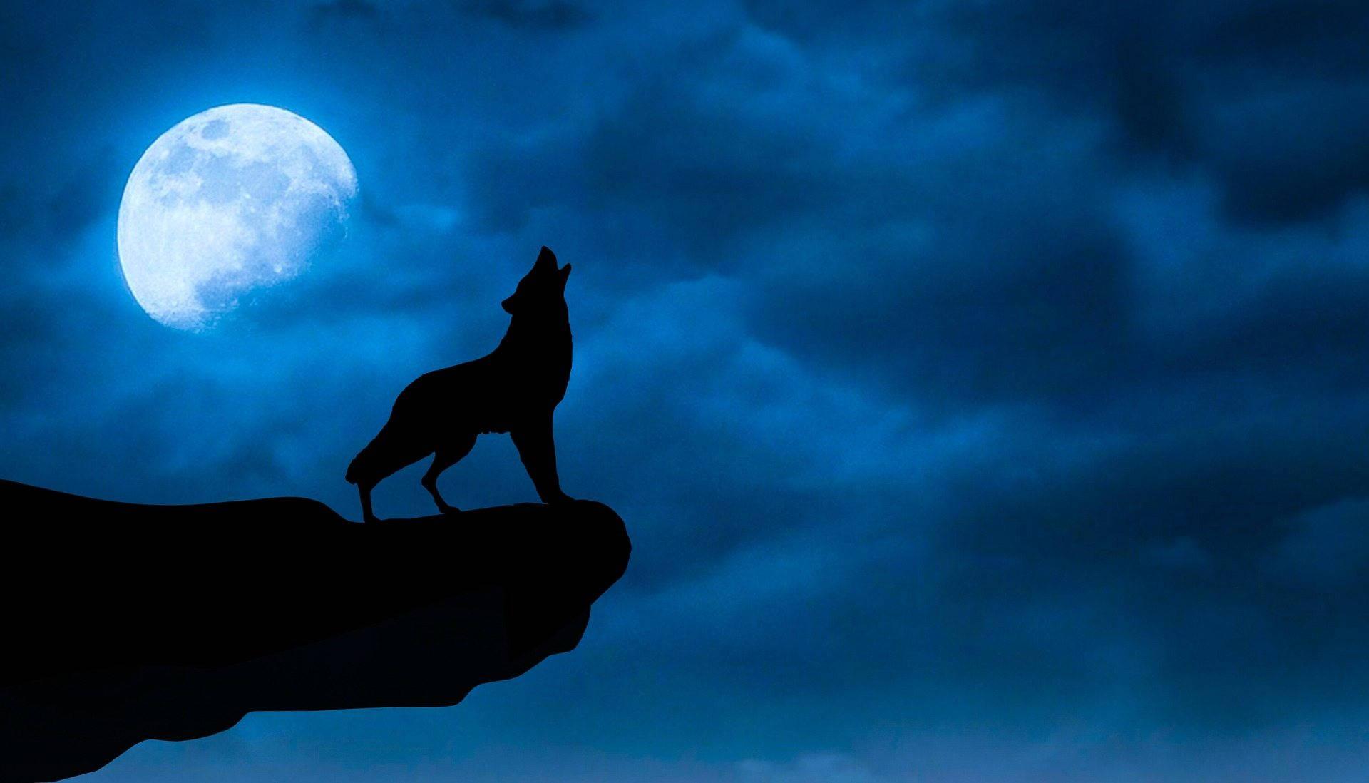 1920x1098 Download Howling Wolf And Galaxy Moon Wallpaper