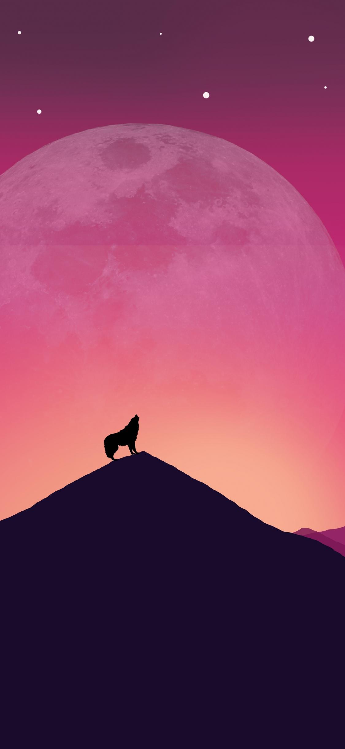1125x2436 Download wolf and moon, night, digital art 1125x2436 wallpaper, iphone x, 1125x2436 HD image, background, 25126