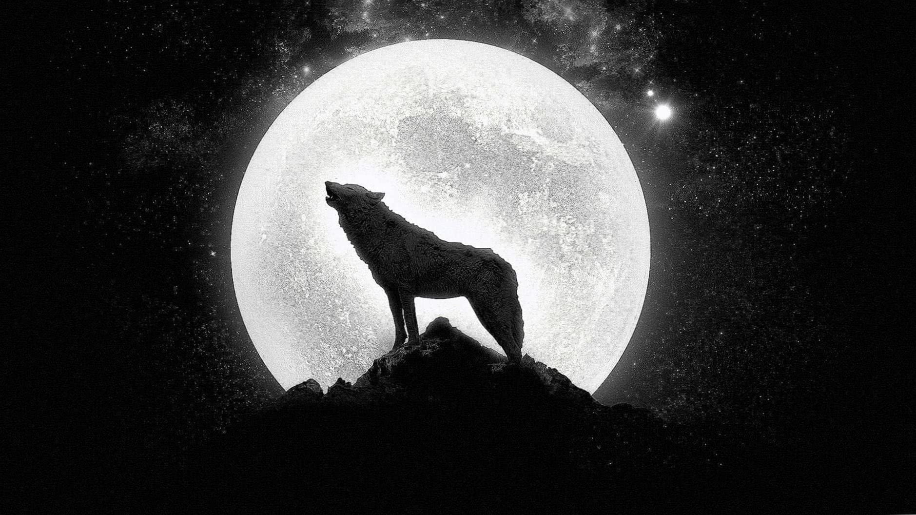 1879x1056 Moon And Wolf HD Wallpaper Background Image
