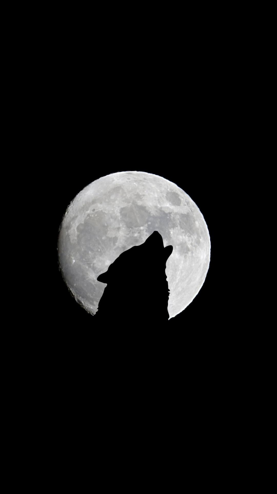 1080x1920 Wallpaper Wolf And Full Moon, Howl, Bw, Silhouette, Night • Wallpaper For You