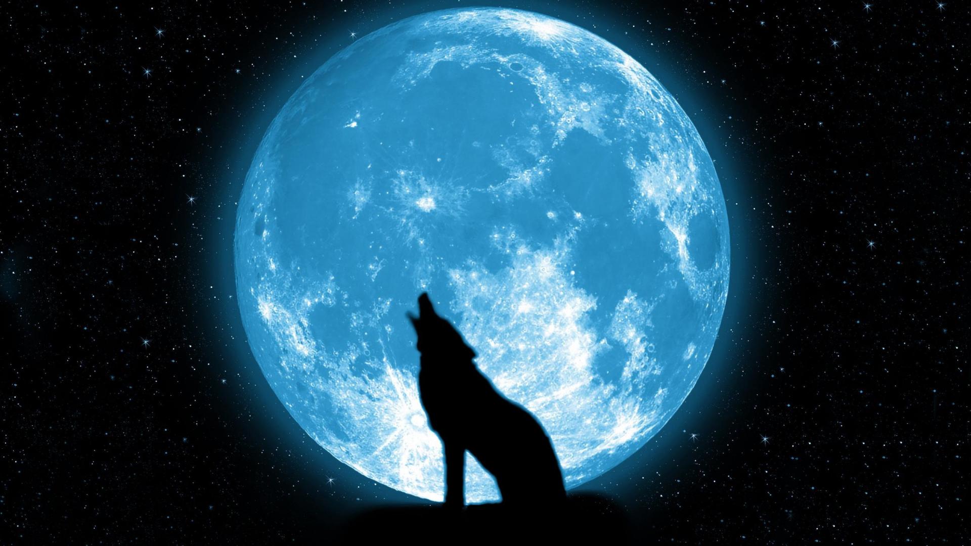 1920x1080 Free download wolf howling on the moon Wallpaper HD [2560x1440] for your Desktop, Mobile & Tablet. Explore Howling Wolf WallpaperP Wolf Wallpaper, Wolf and Moon Wallpaper, Wolf Wallpaper for Windows