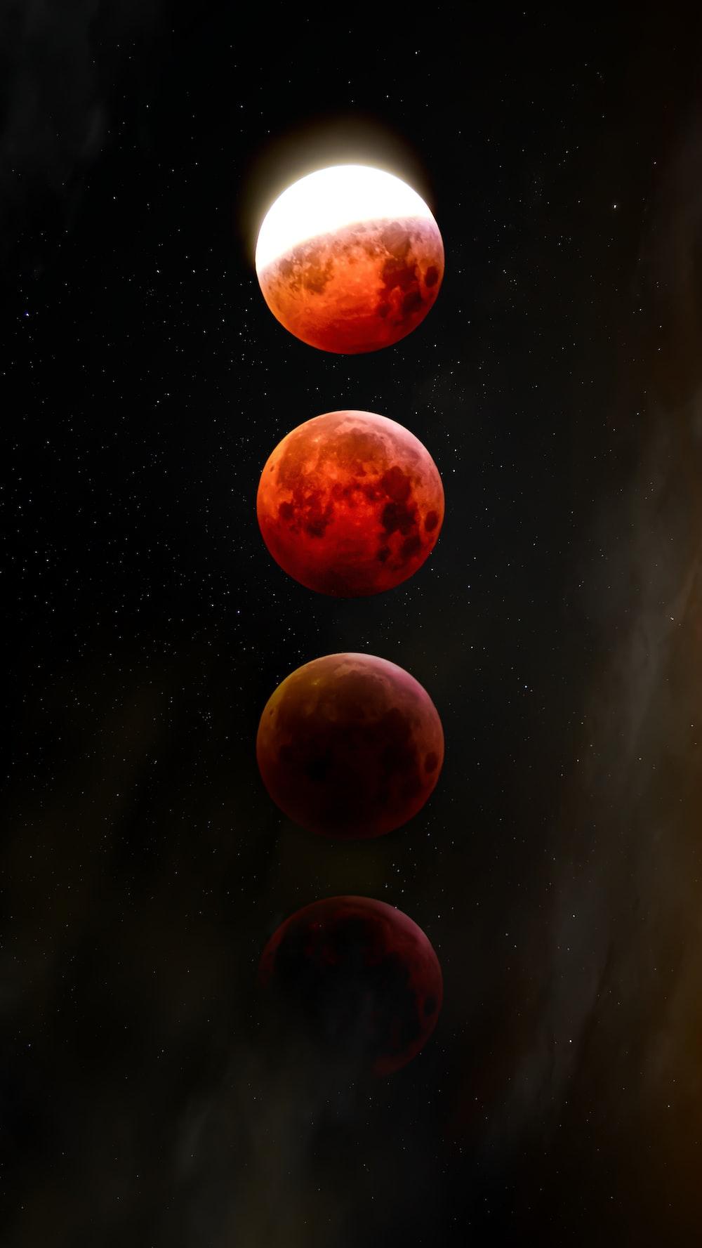 1000x1777 Wolf Moon Picture. Download Free Image