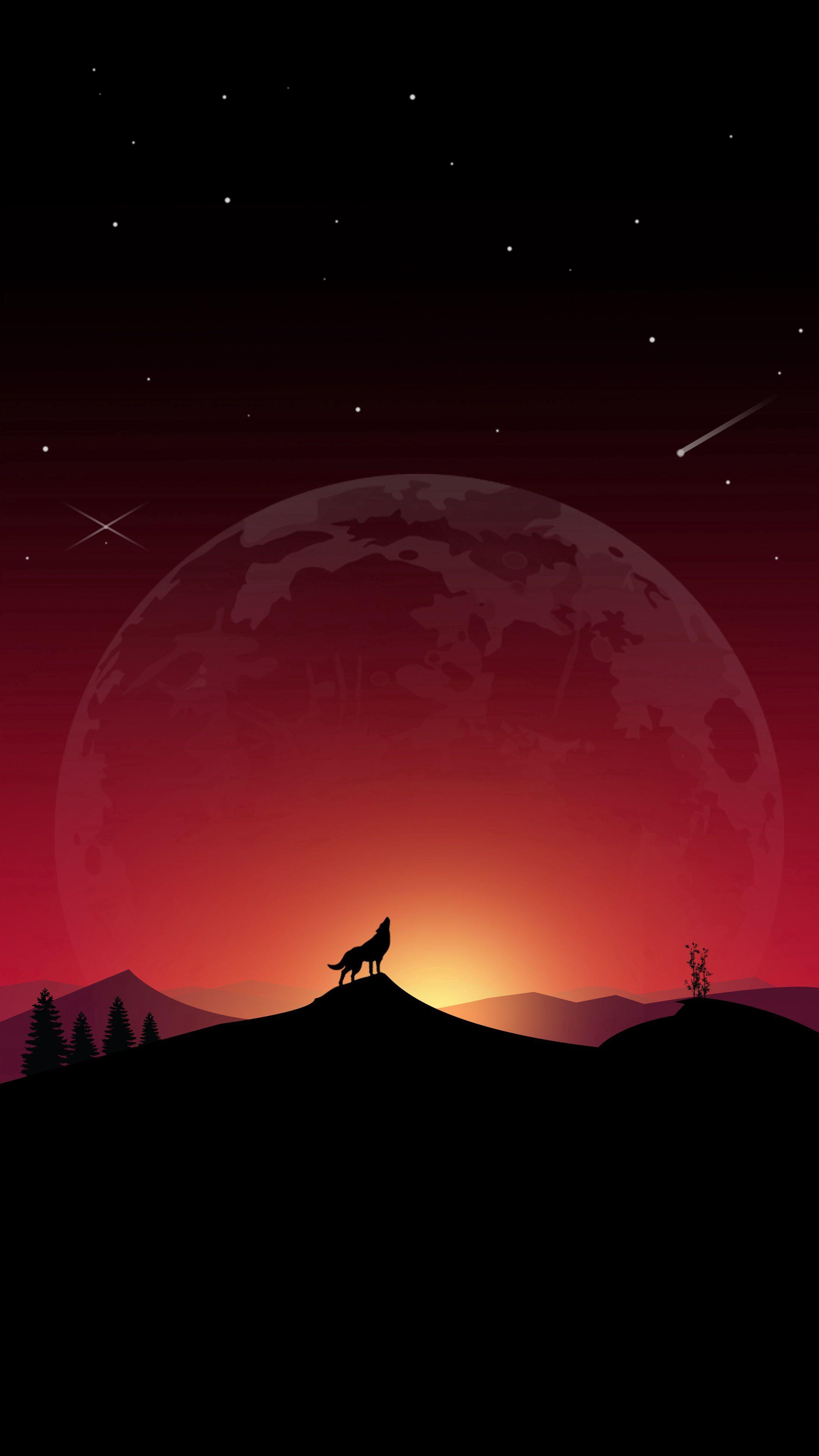 2160x3840 Download Wolf wallpaper for mobile phone, free Wolf HD picture