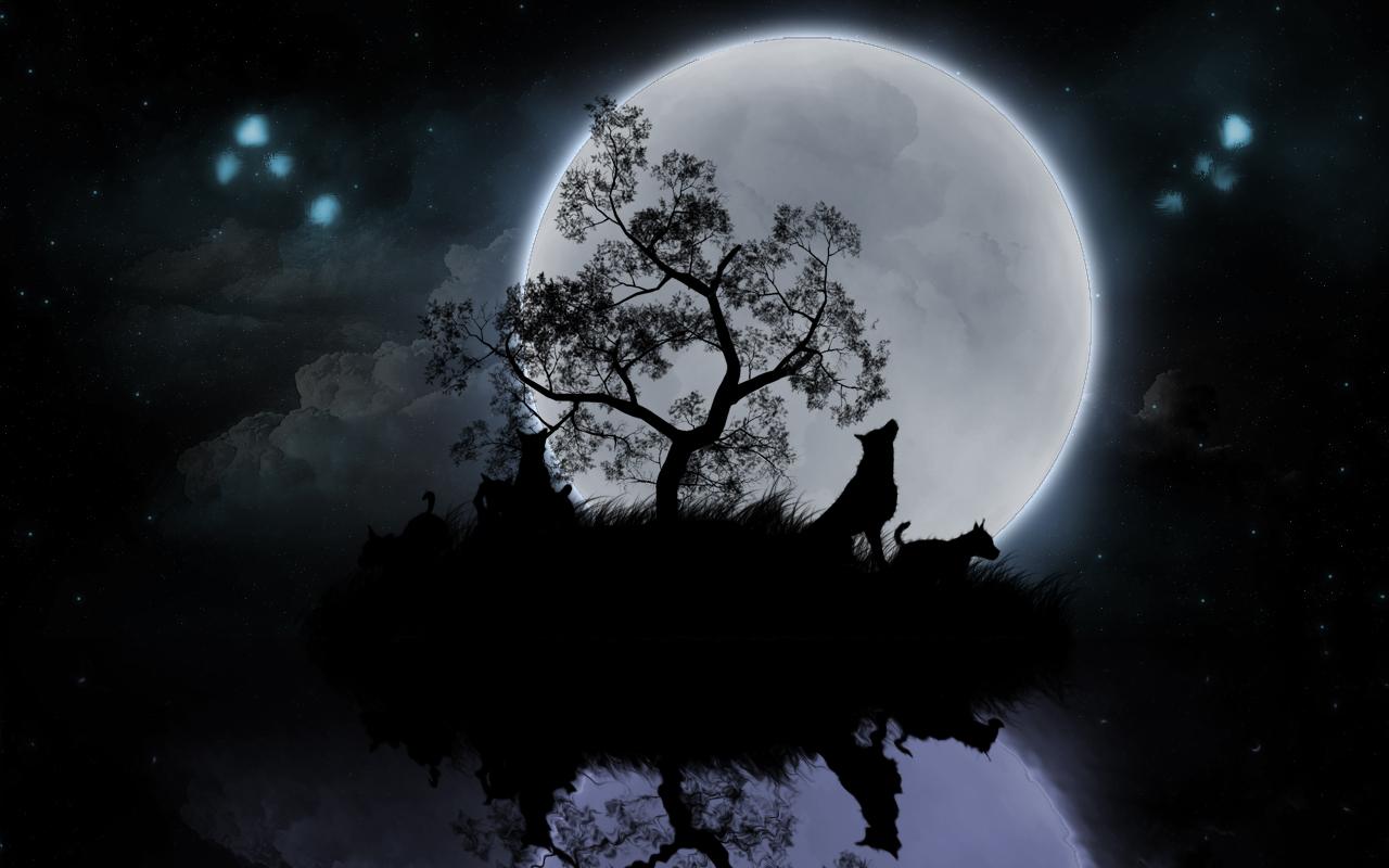 1280x800 live wolf wallpaper free, sky, cat, felidae, screenshot, technology