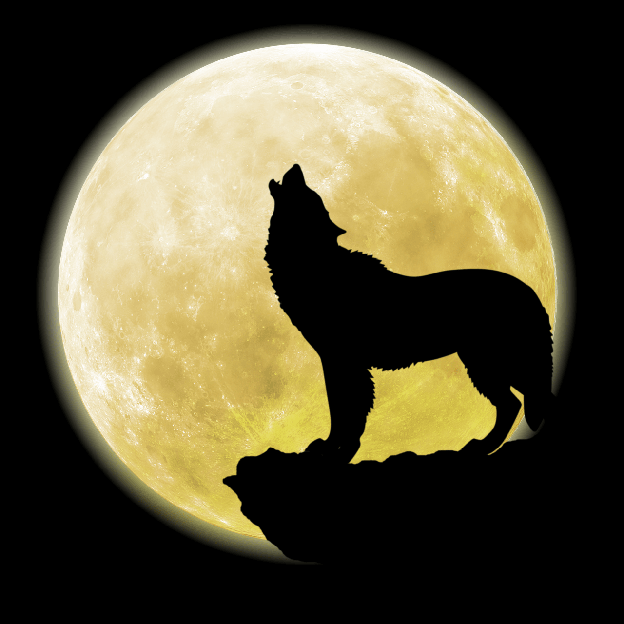 1280x1280 Wolf Moon 2022 HD Image, Quotes, Wishes, Greetings, Wallpaper to Download Nonstop News