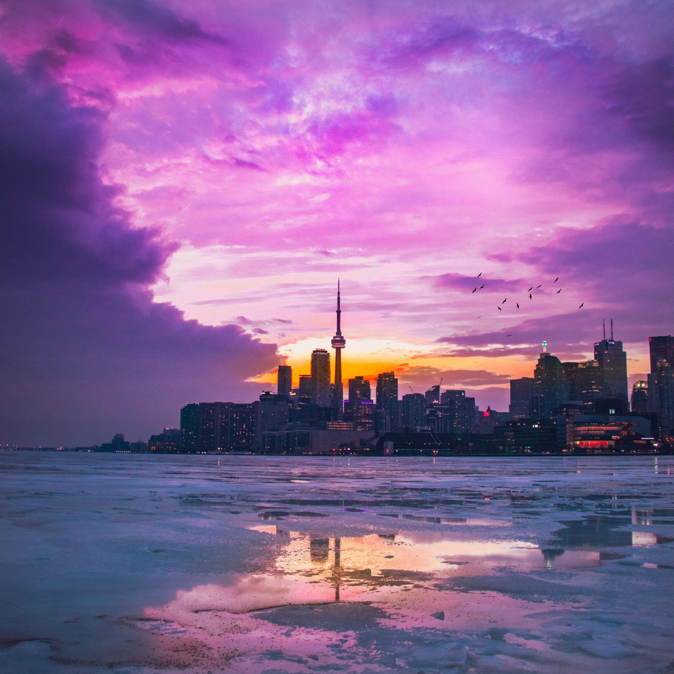 2248x2248 Download city, sunset, pink sky, buildings 2248x2248 wallpaper, ipad air, ipad air ipad ipad ipad mini ipad mini 2248x2248 HD image, background, 21605