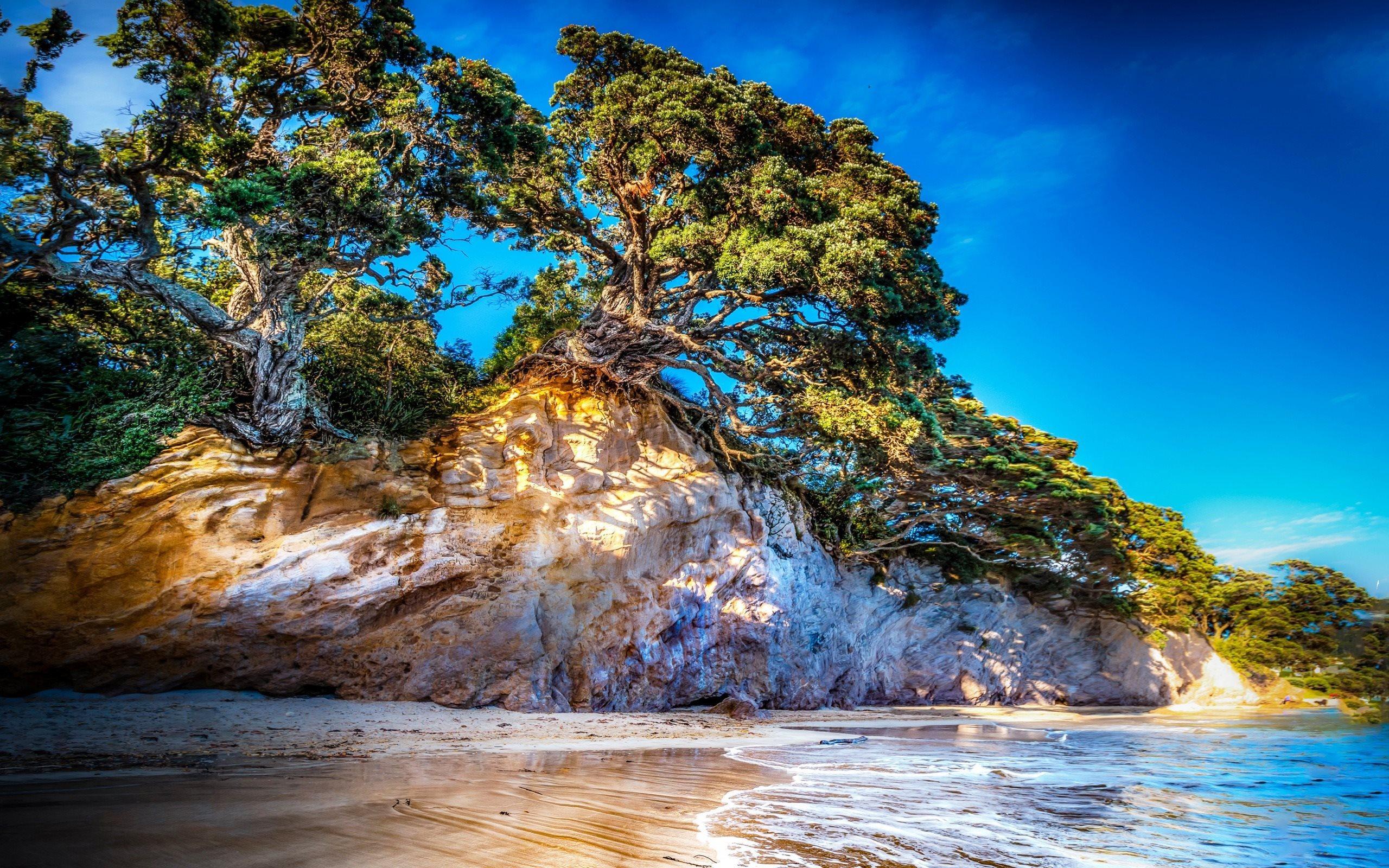 2560x1600 Download wallpaper Coast, trees, Sea, summer, New Zealand, Tasman, HDR for desktop with resolution 2560x1600. High Quality HD picture wallpaper