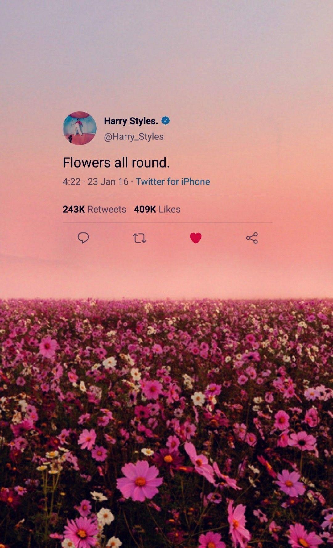 1080x1776 Harry Styles Album Wallpaper