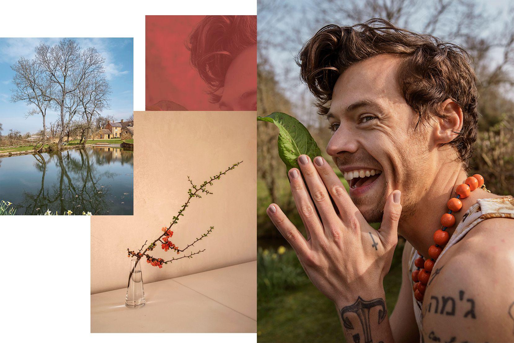 1659x1107 Exclusive: Harry Styles Shares the Meaning Behind His New Album, 'Harry's House'