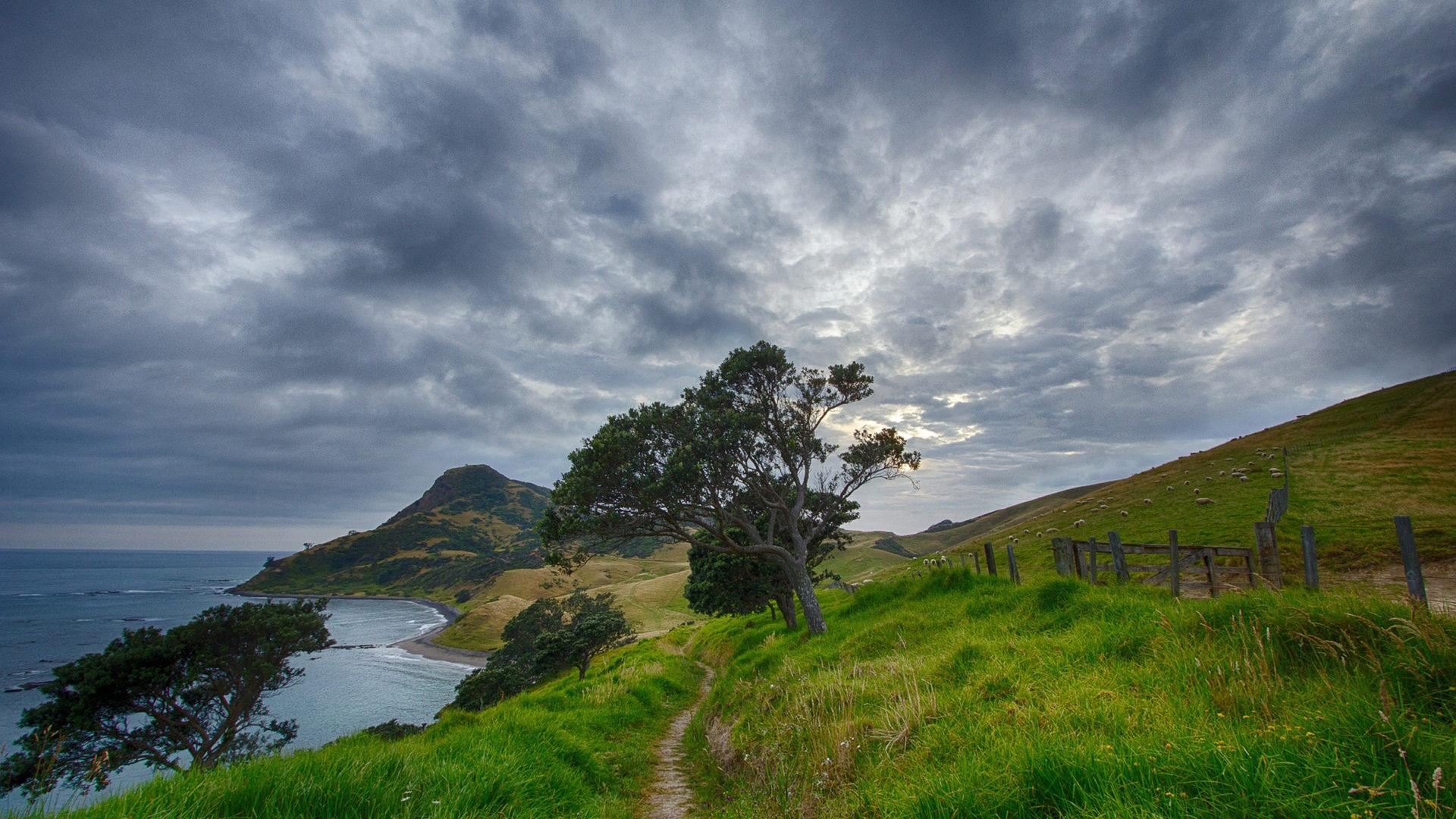 1920x1080 New Zealand Desktop Wallpaper HD