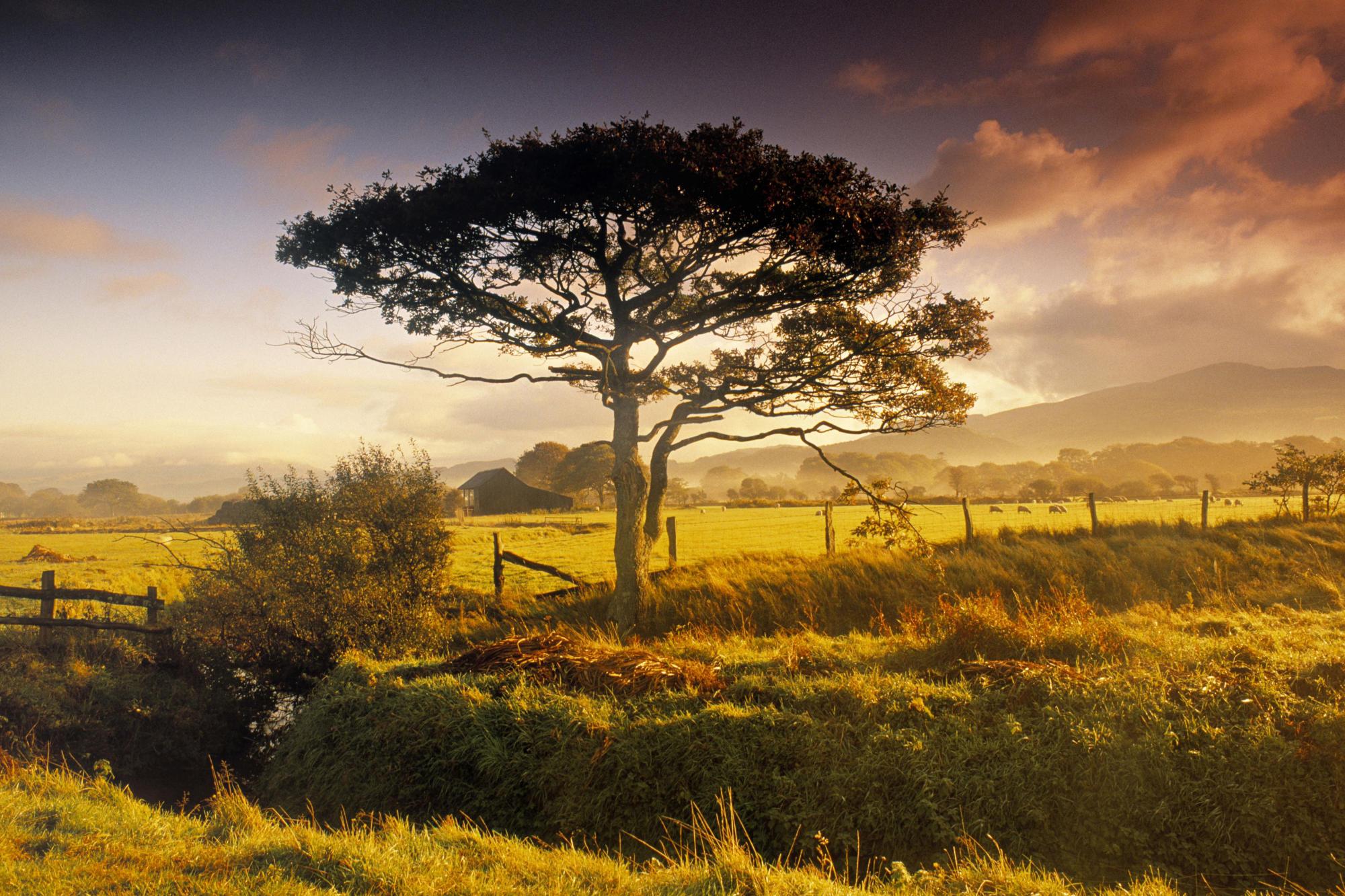 2000x1333 New Zealand HD Wallpaper and Background