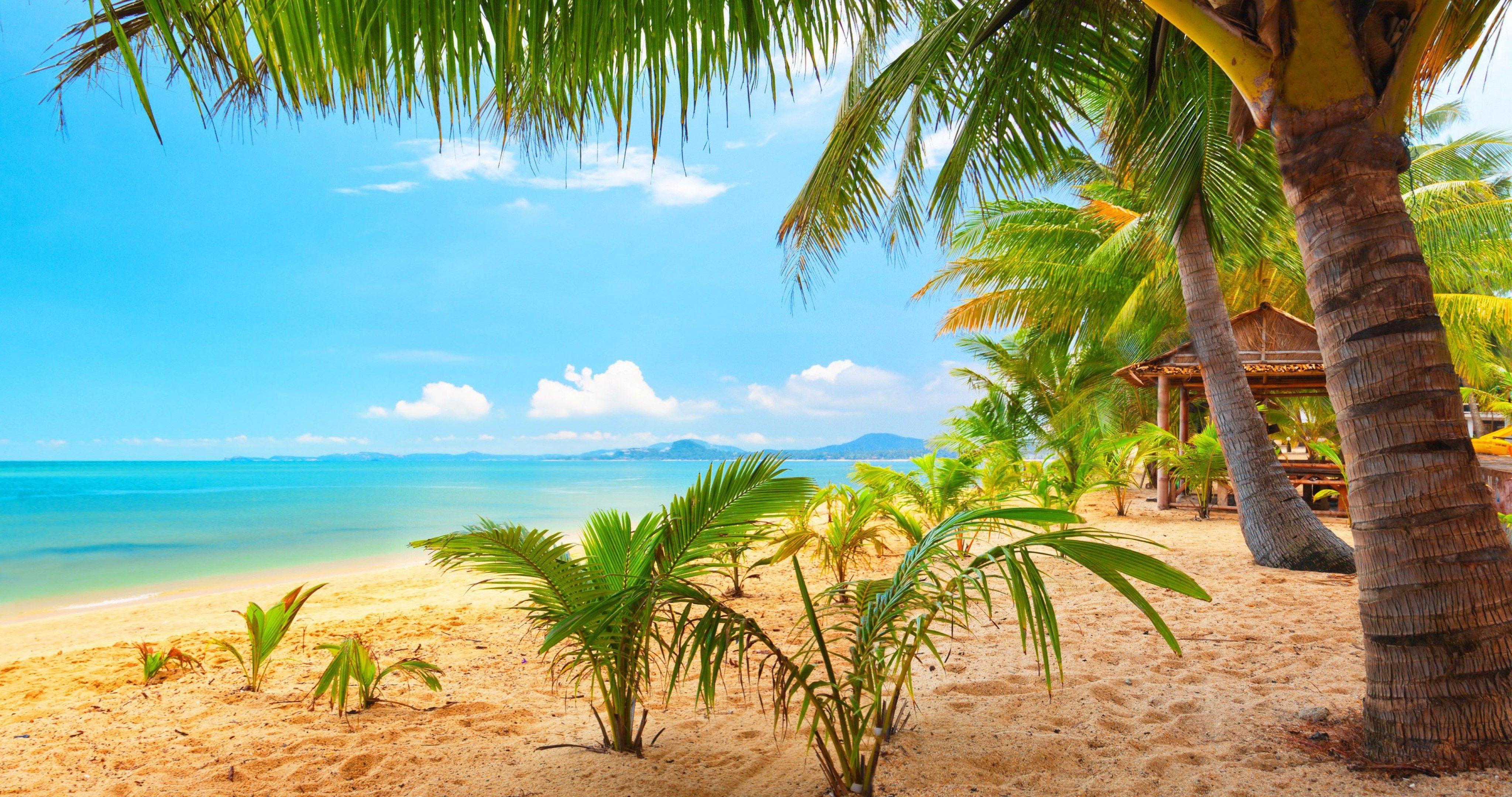4096x2160 summer 4k Wallpaper