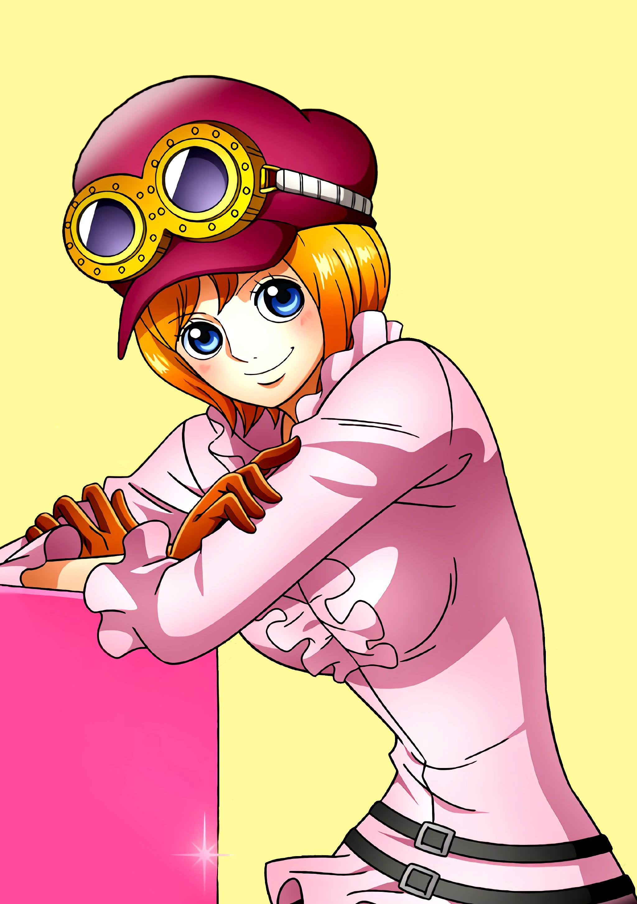2048x2905 Koala (ONE PIECE) Anime Image Board