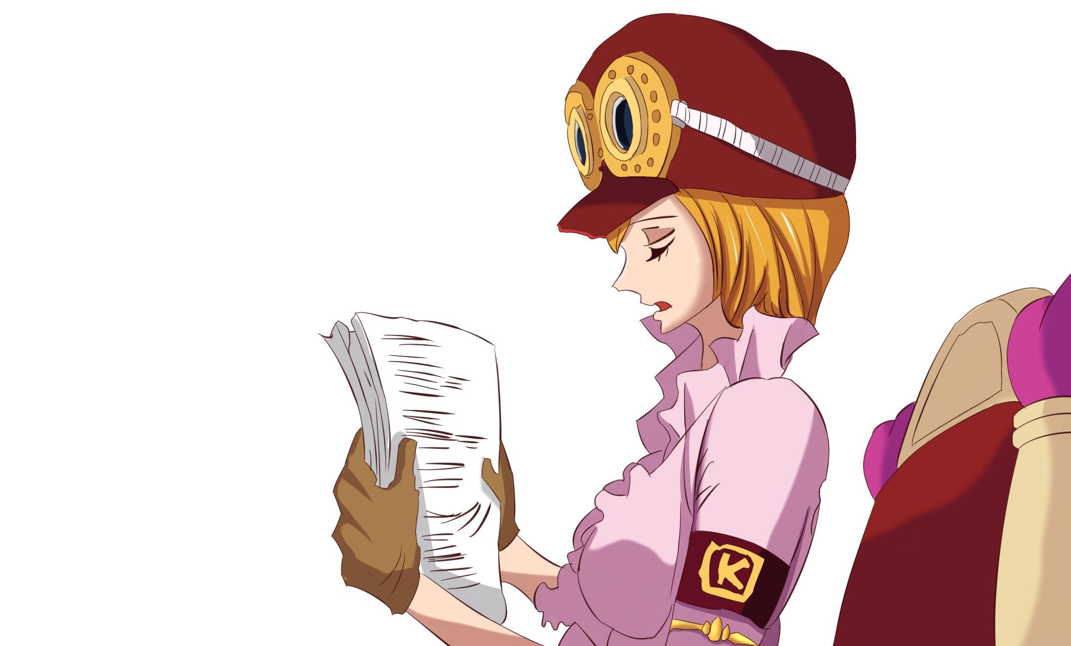 2168x1308 Koala (One Piece) HD Wallpaper, Achtergronden