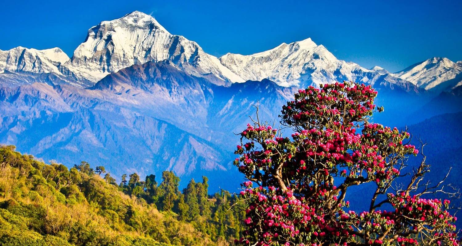 1500x800 Wonderful Nepal Tour by Nepal Social Treks with 2 Tour Reviews (Code: WNT)