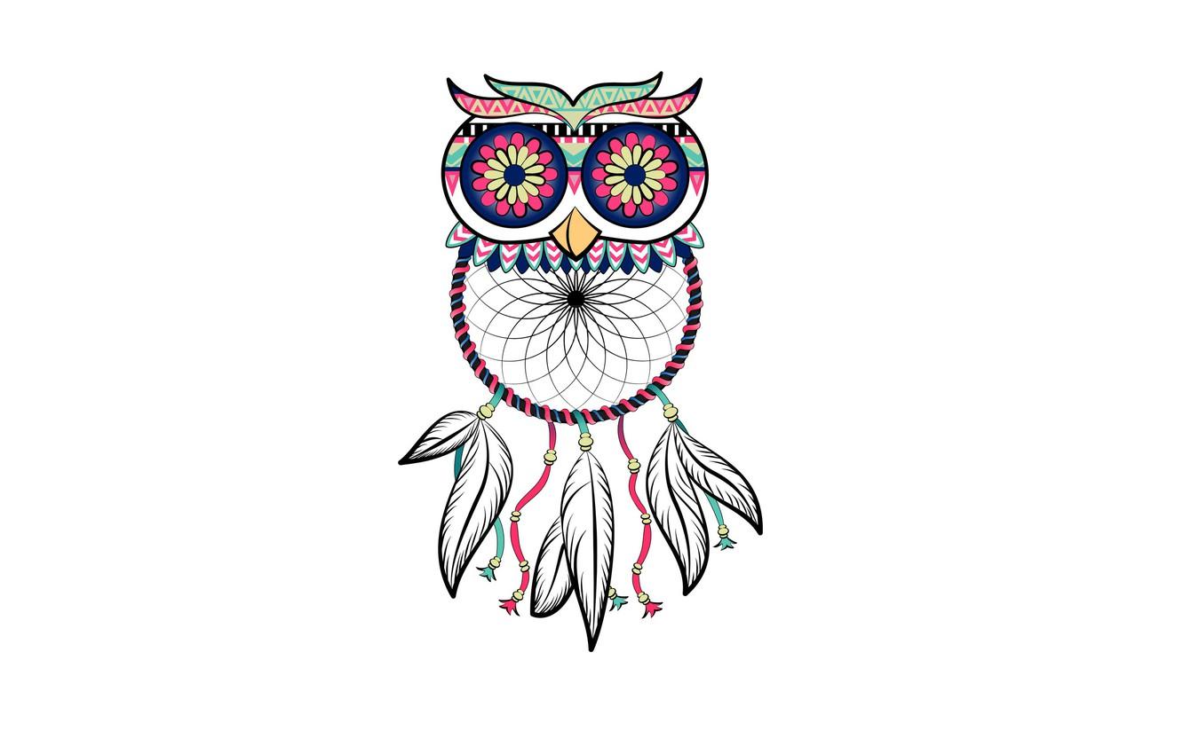 1332x850 Wallpaper owl, bird, minimalism, feathers, light background, owl, Dreamcatcher, dreamcatcher, dream catcher image for desktop, section минимализм