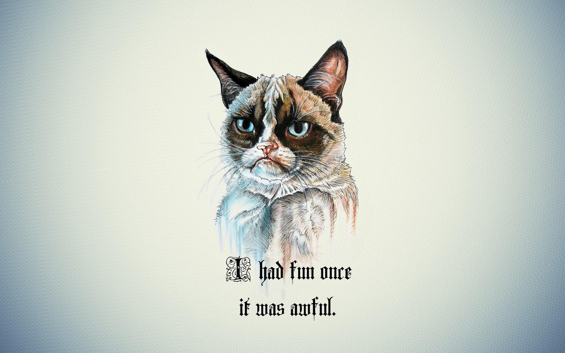 1920x1200 Grumpy Cat HD Wallpaper and Background